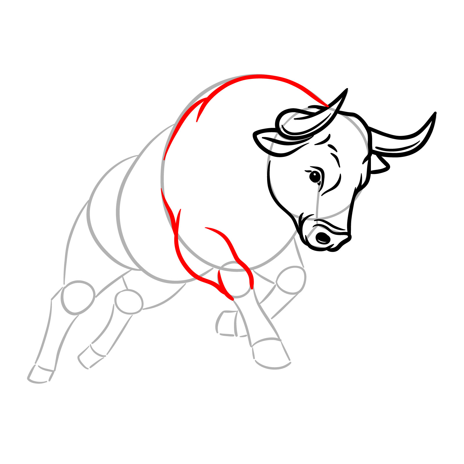 How to Draw a Charging Bull - step 10