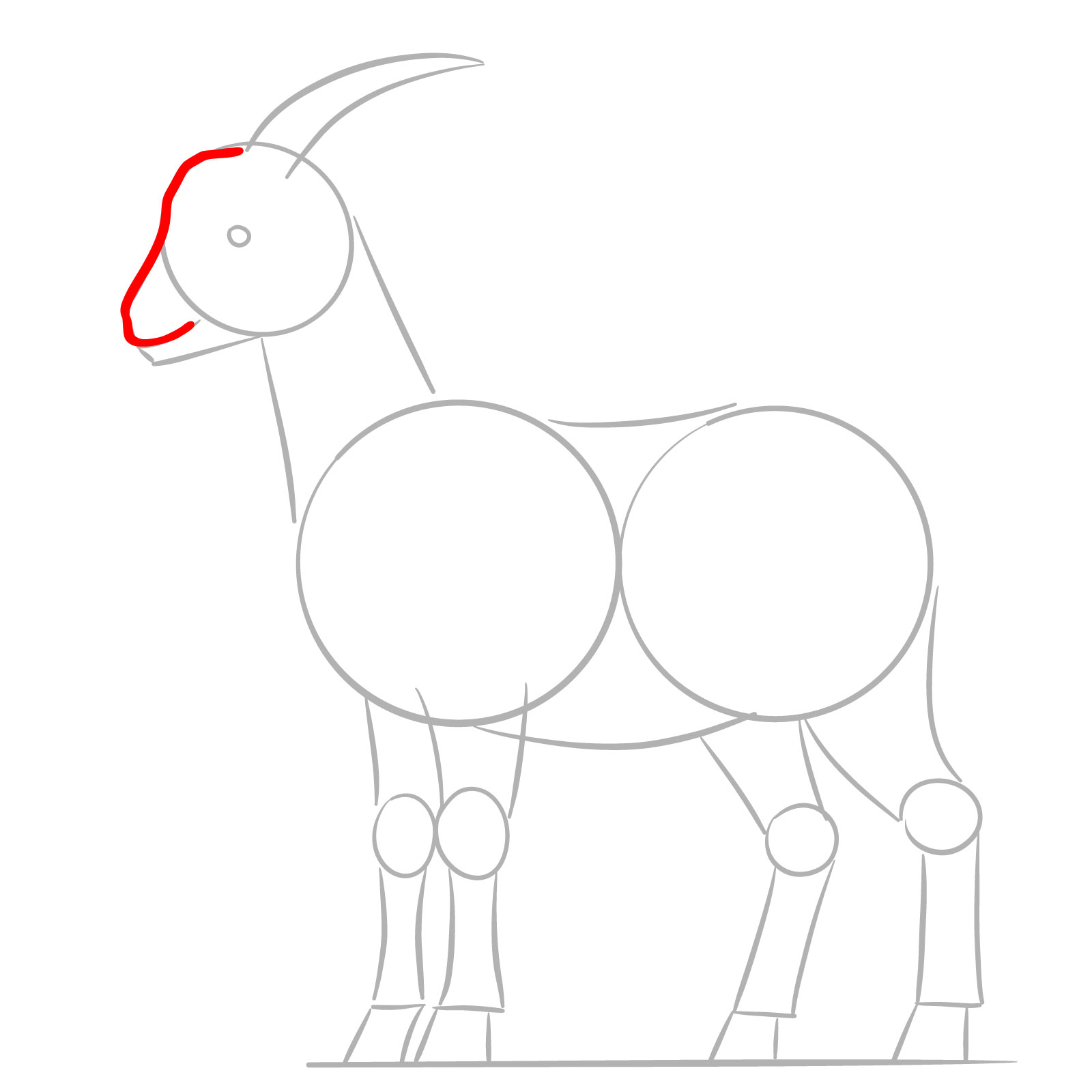 How to Draw a Goat Full Body Side View - step 03