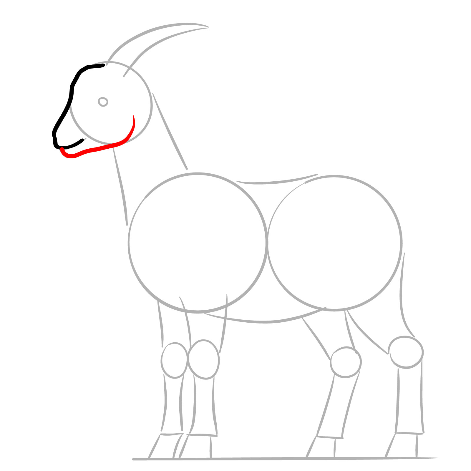How to Draw a Goat Full Body Side View - step 04