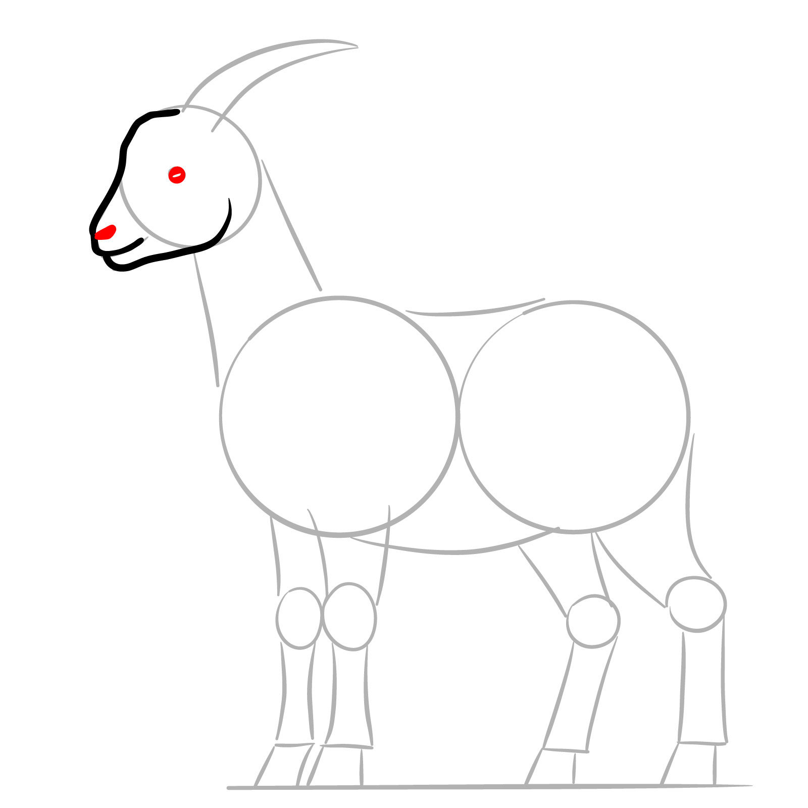 How to Draw a Goat Full Body Side View - step 05