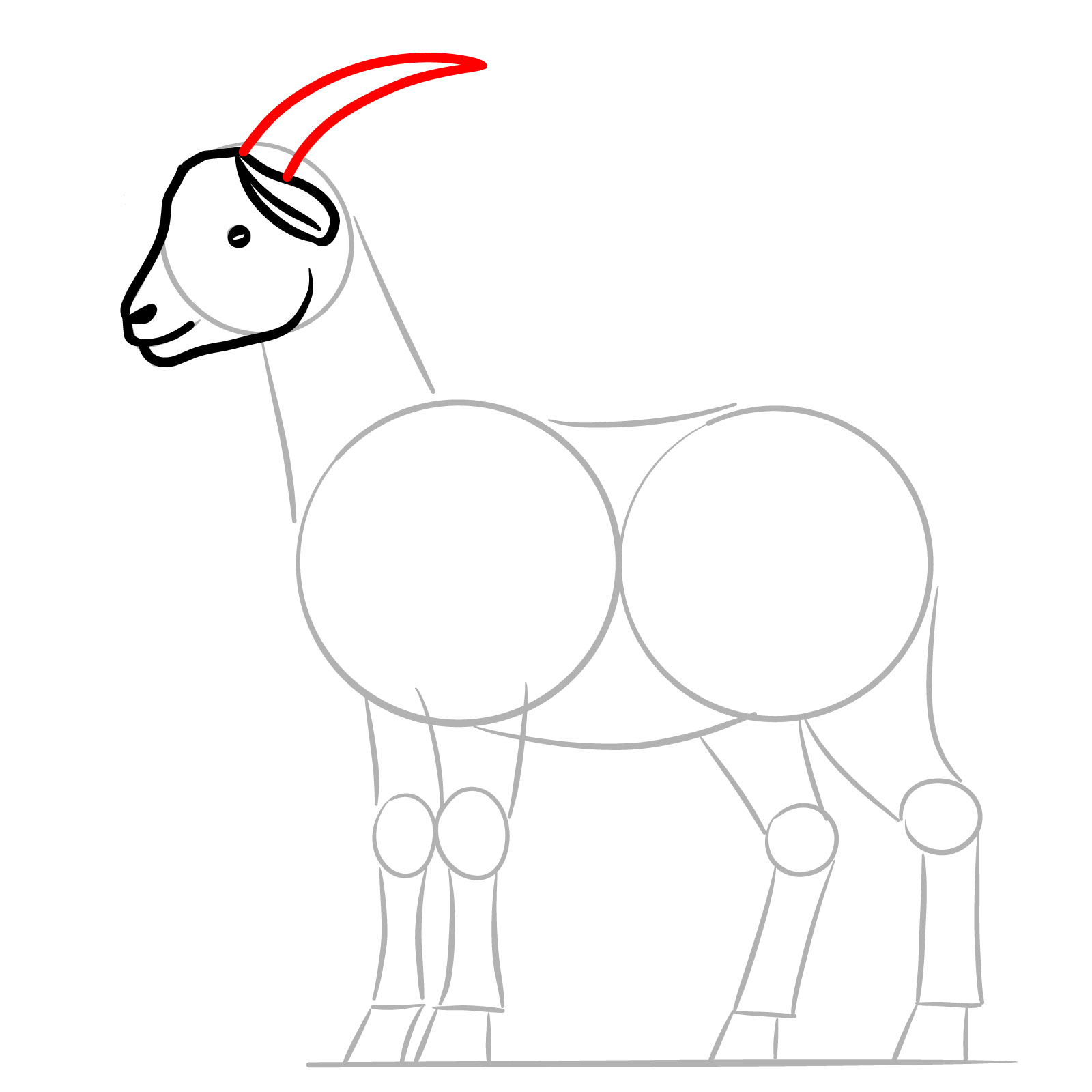 How to Draw a Goat Full Body Side View - step 07