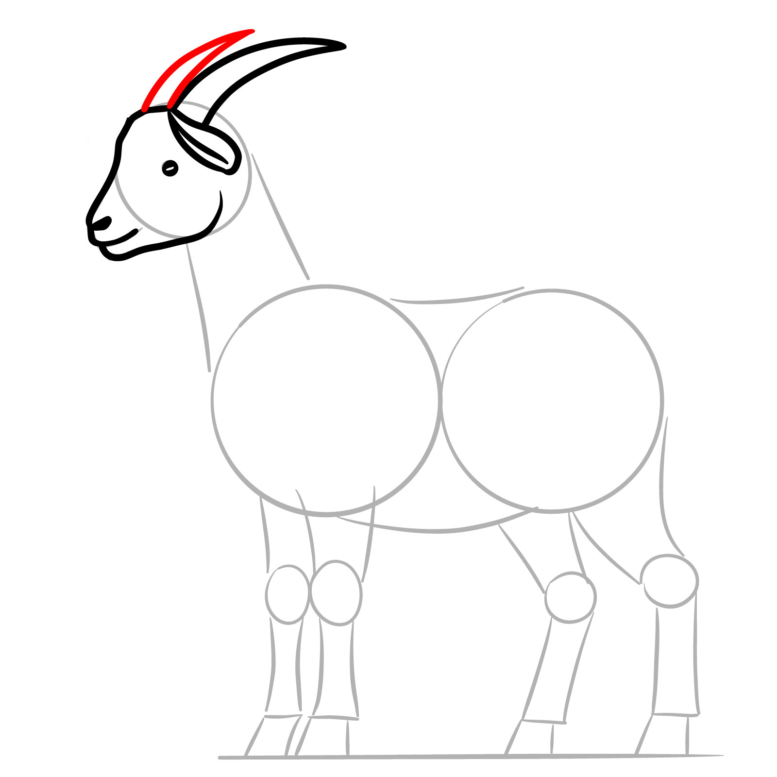 How to Draw a Goat Full Body Side View - step 08