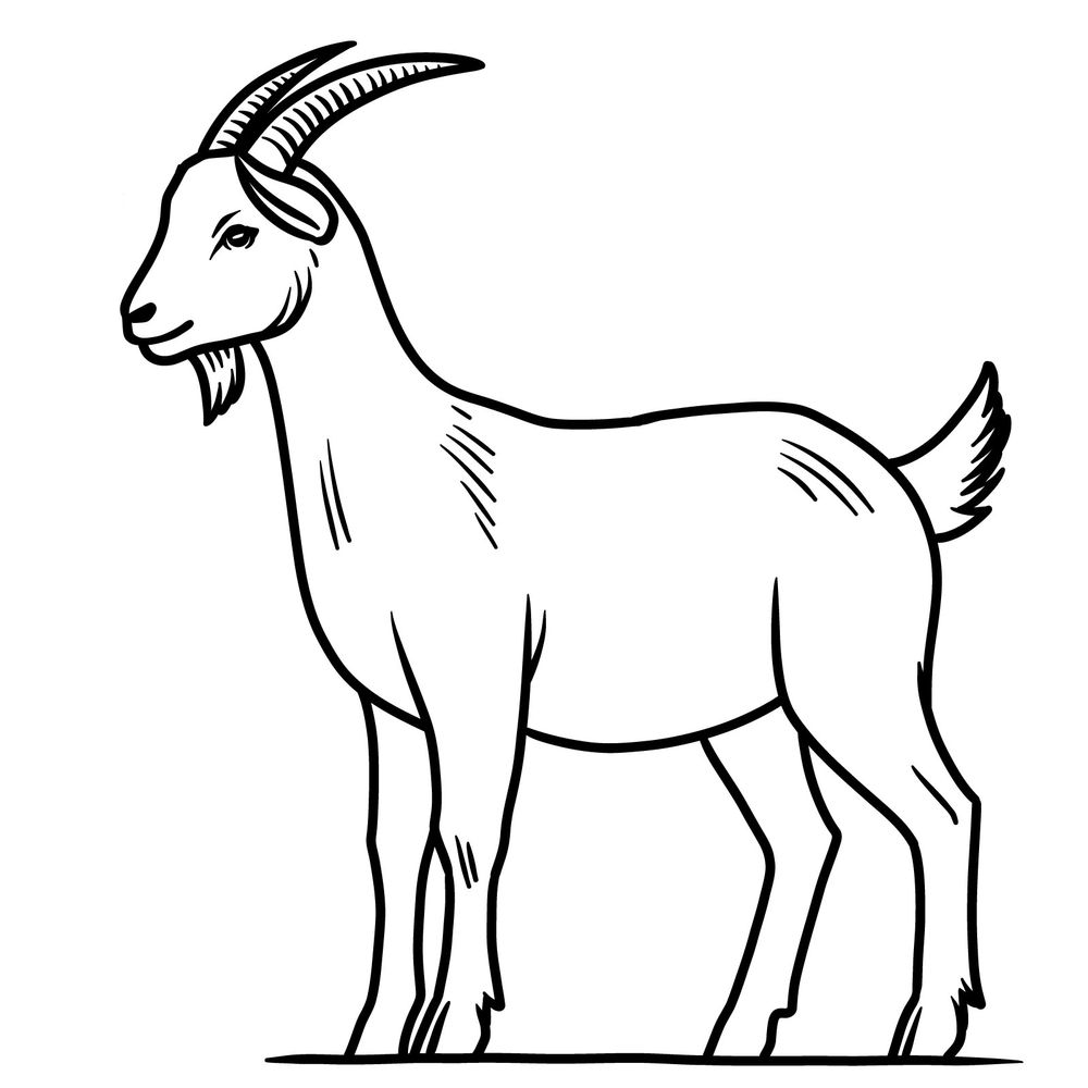 How to Draw a Goat: Full Body Goat Drawing Guide for Beginners