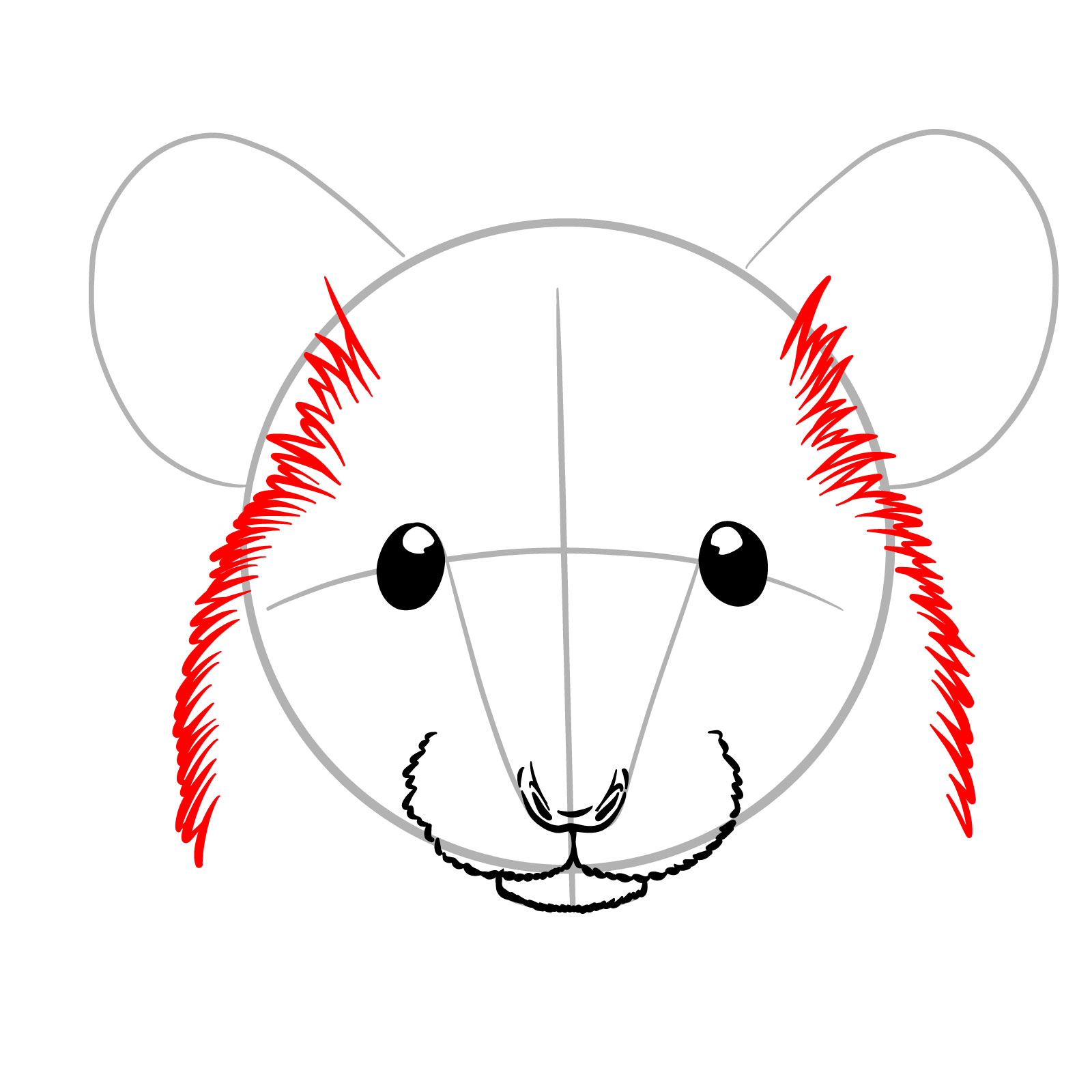 How to Draw a Mouse Head Front View - step 07