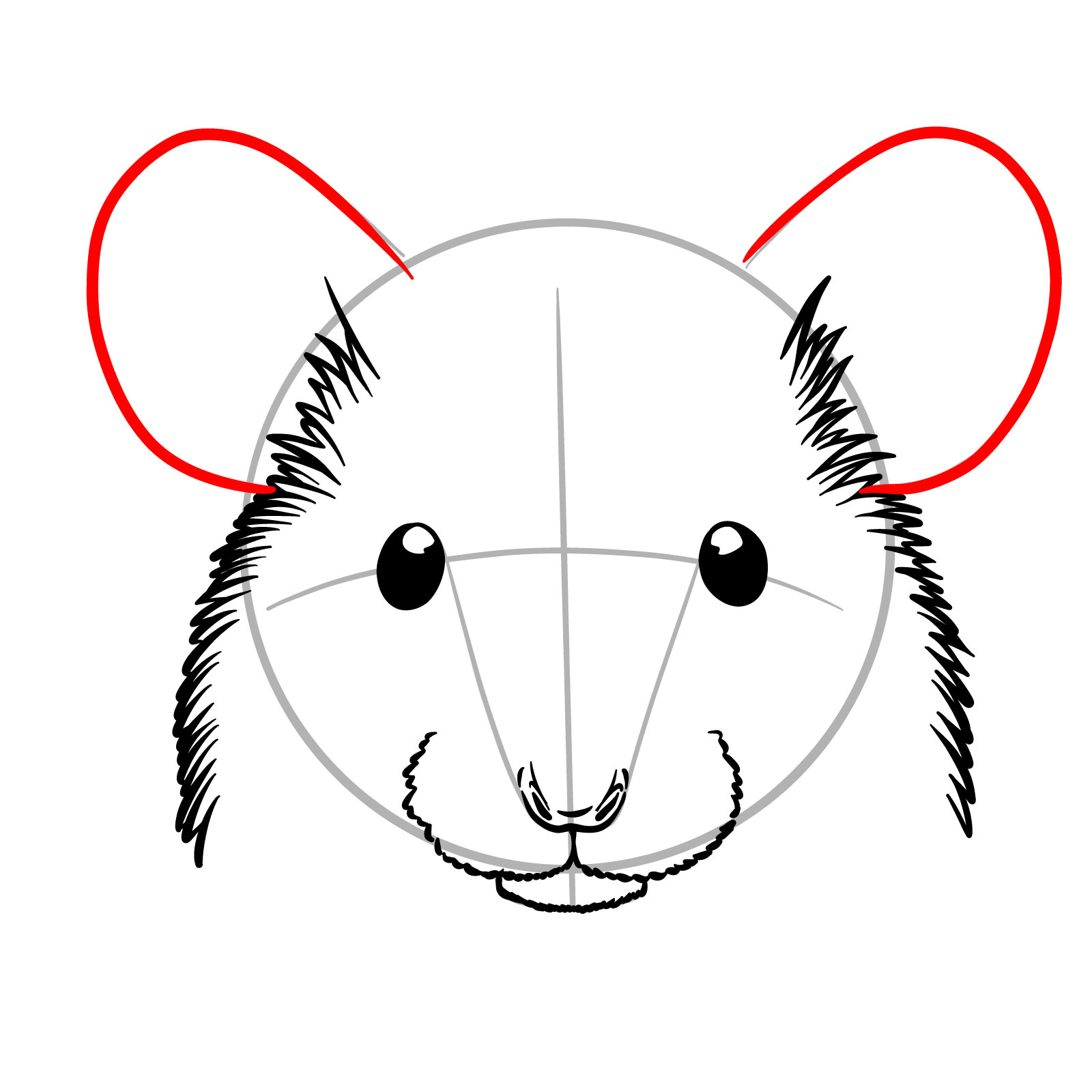 How to Draw a Mouse Head Front View - step 08