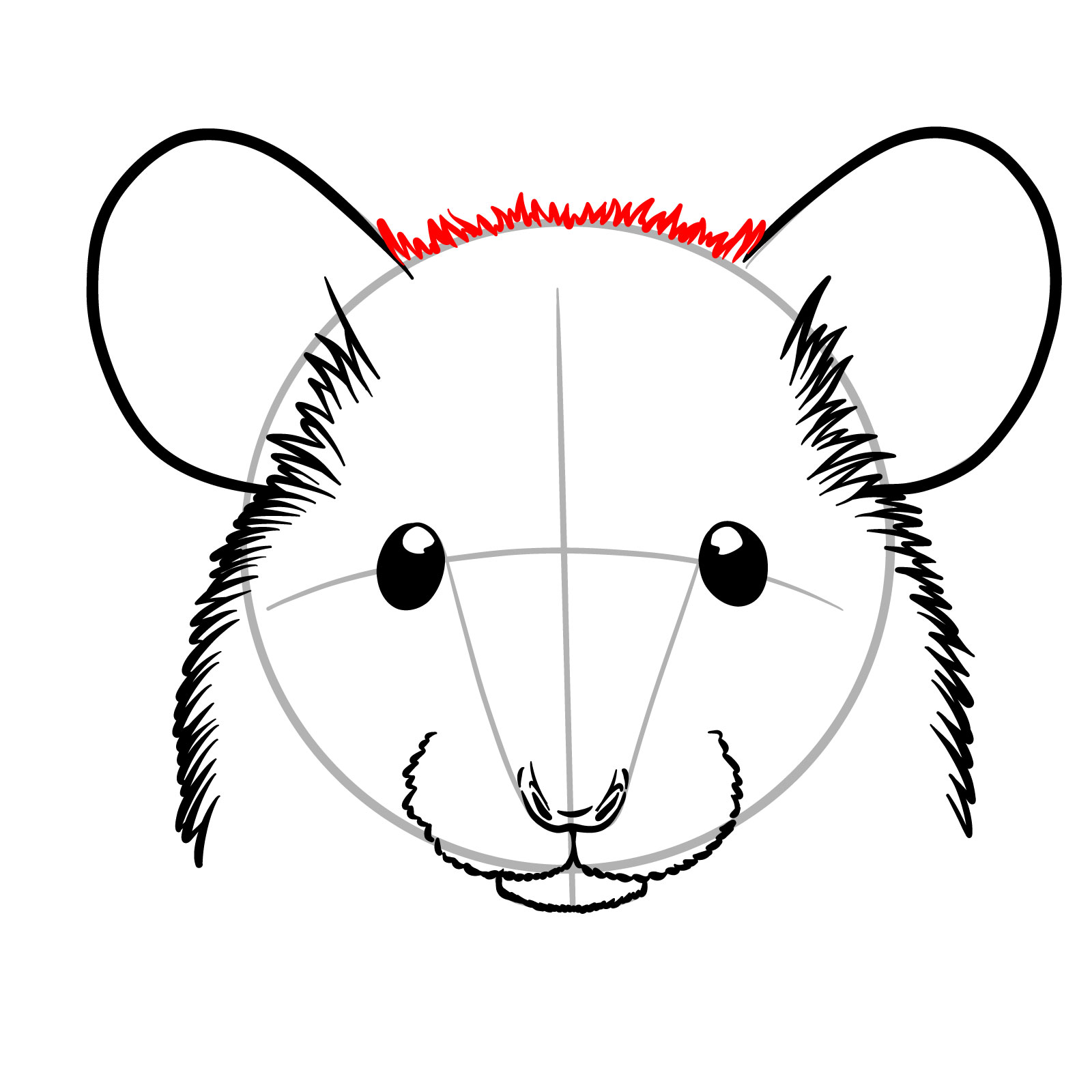 How to Draw a Mouse Head Front View - step 09