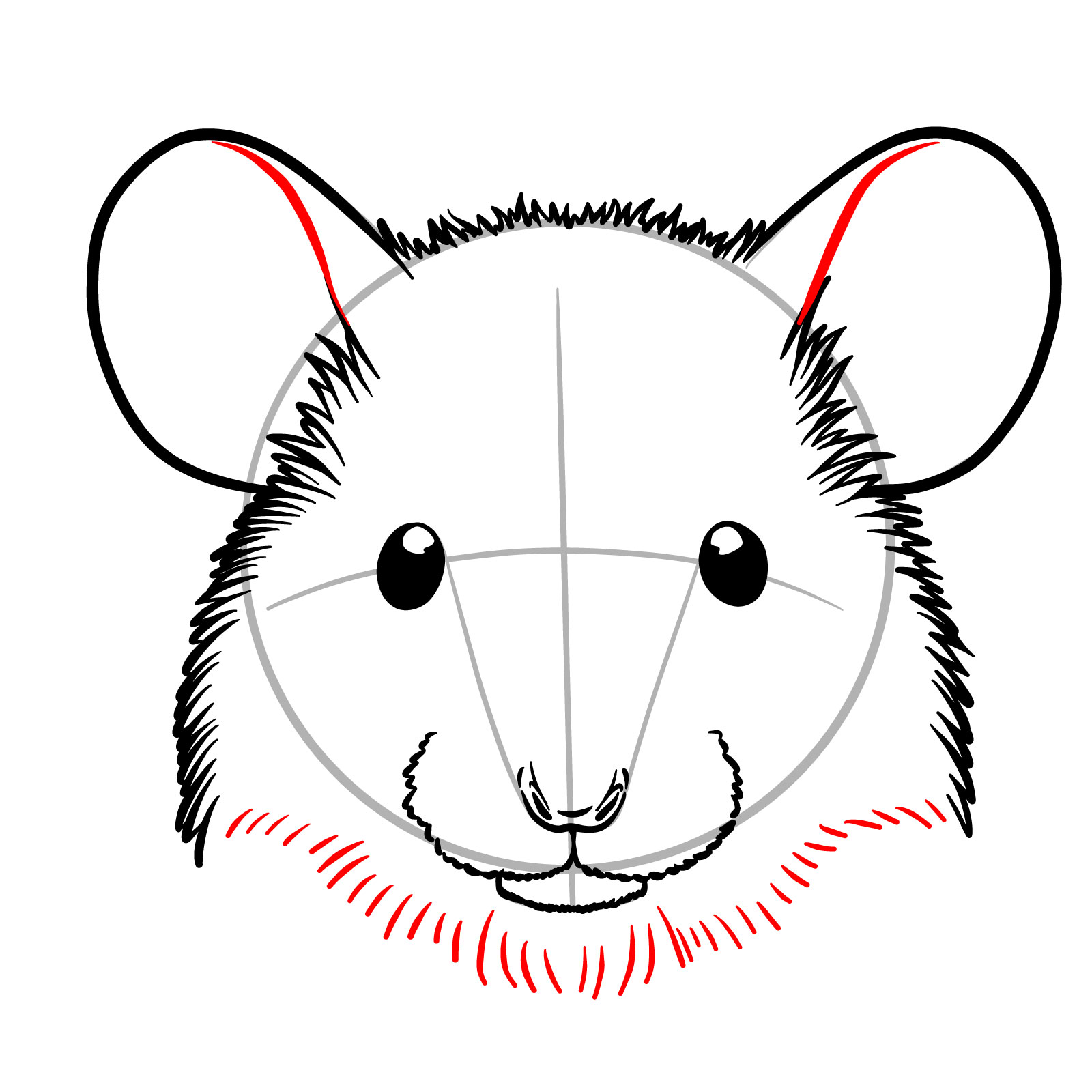 How to Draw a Mouse Head Front View - step 10