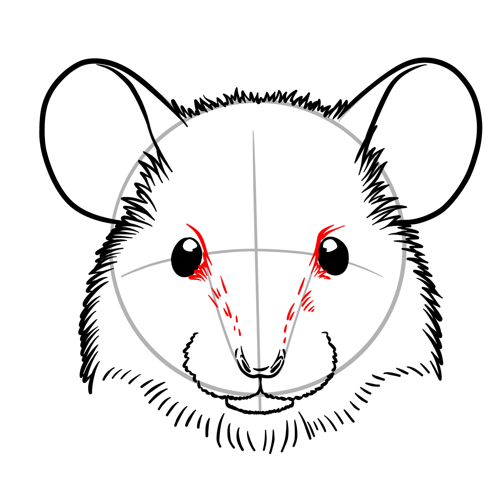 How to Draw a Mouse Head Front View - step 11