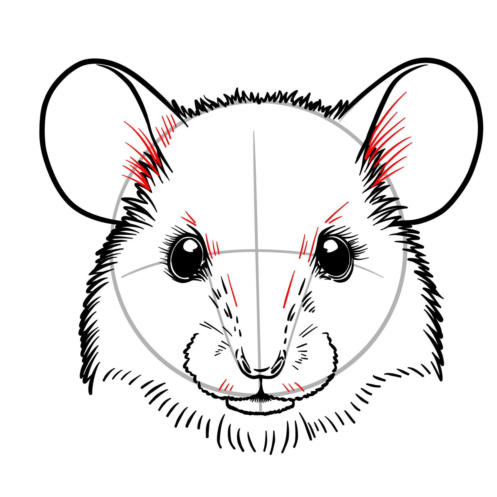 How to Draw a Mouse Head Front View - step 13