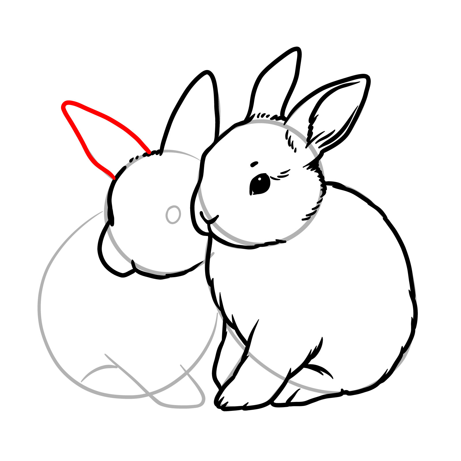 How to Draw Two Rabbits Cuddling - step 13