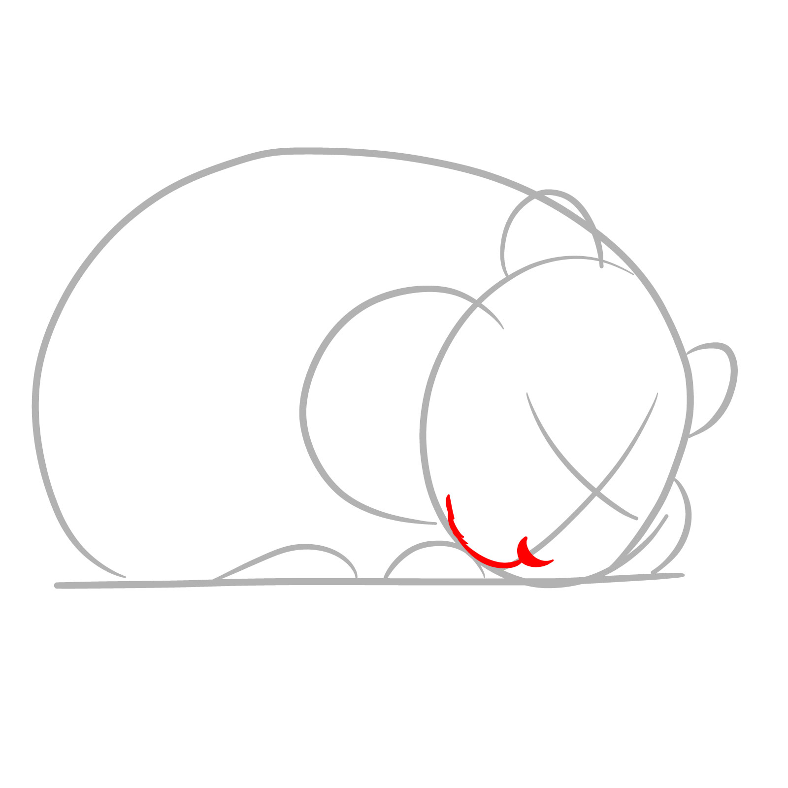 How to Draw a Sleeping Hamster - step 03