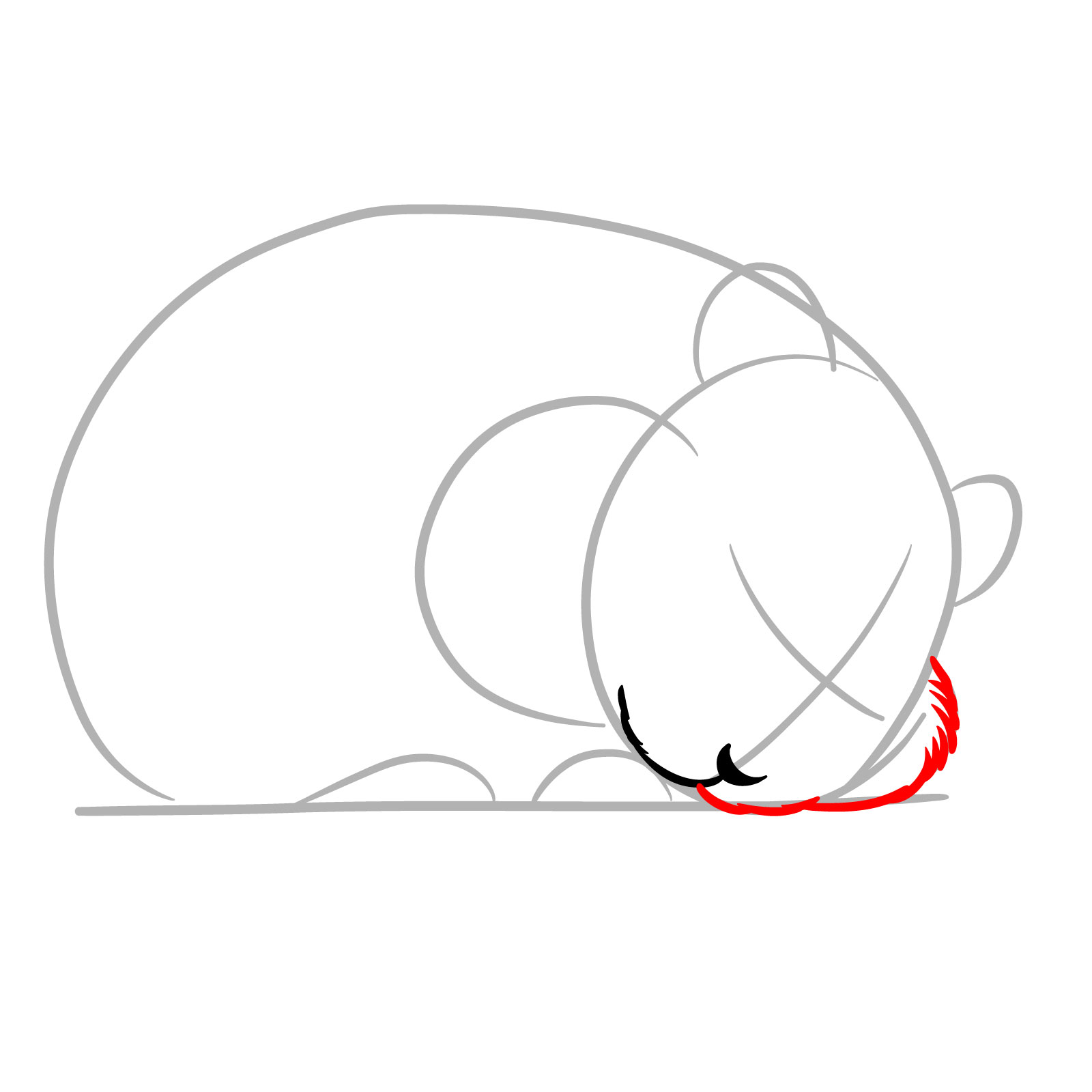 How to Draw a Sleeping Hamster - step 04