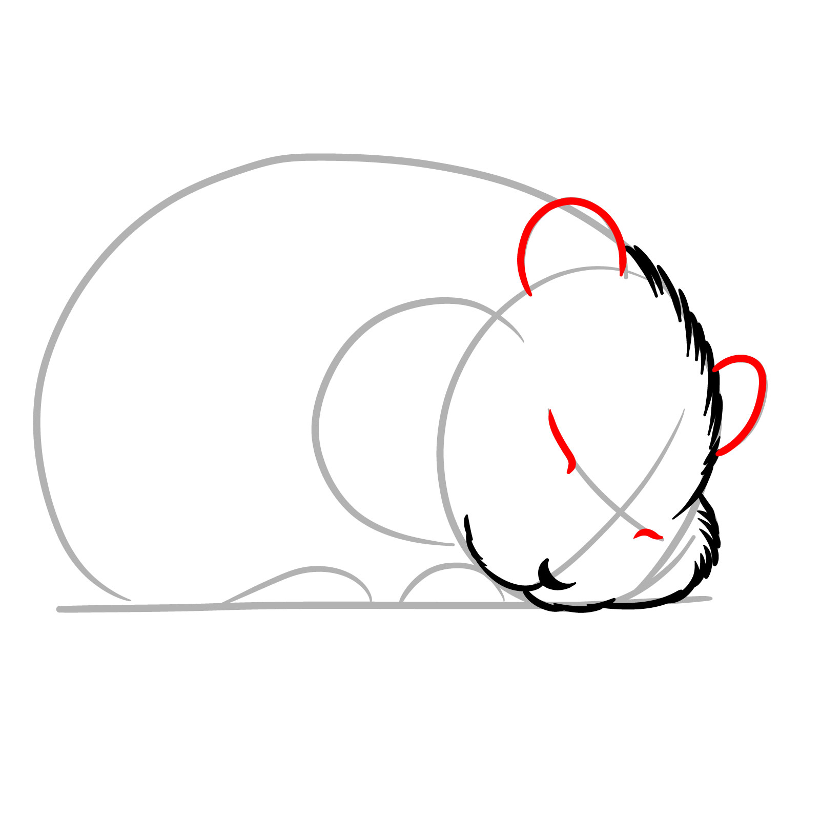 How to Draw a Sleeping Hamster - step 06