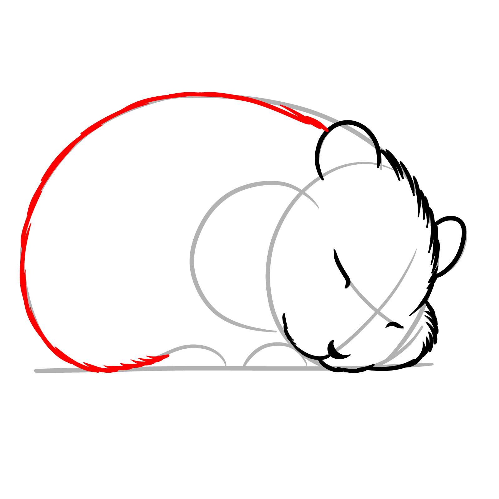 How to Draw a Sleeping Hamster - step 07