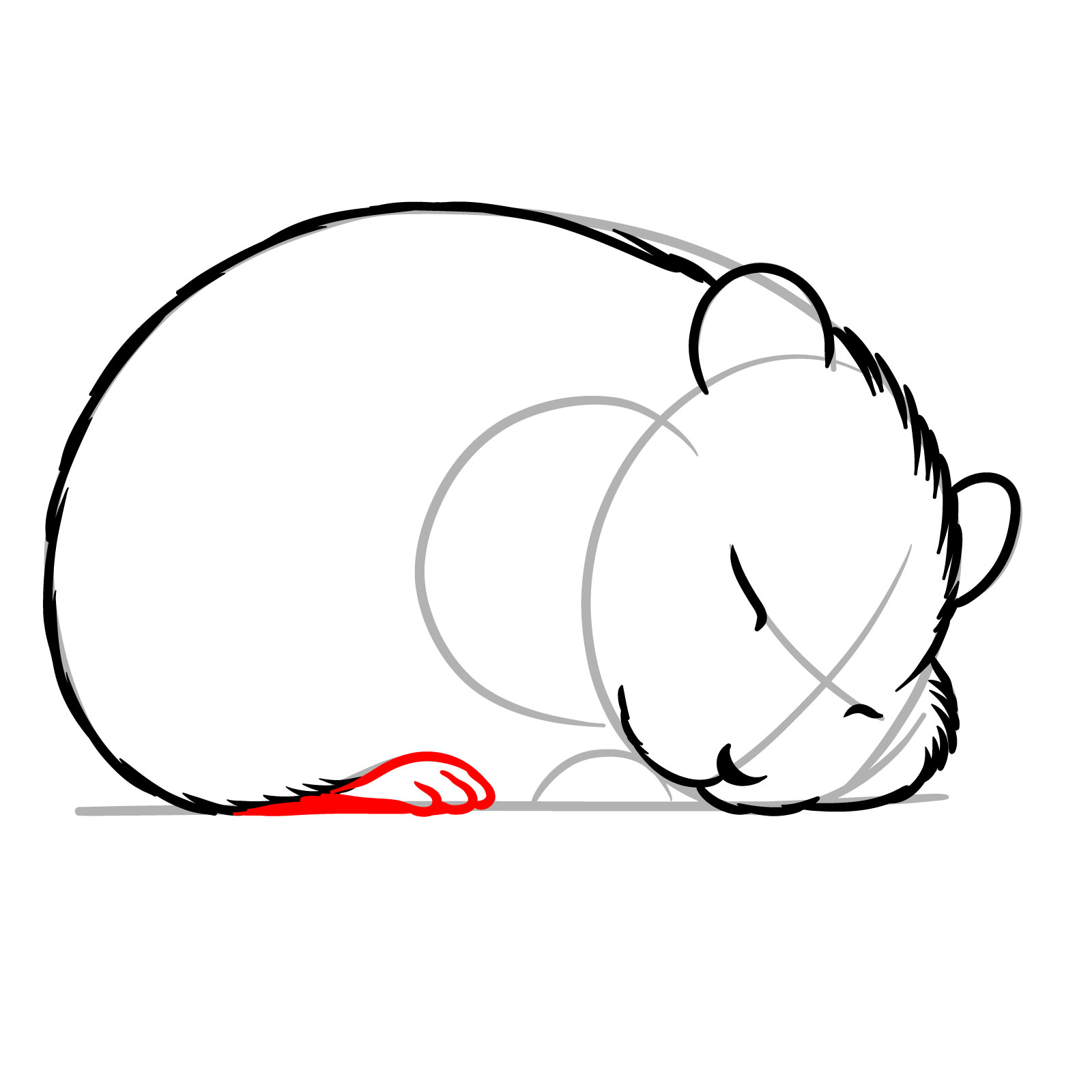 How to Draw a Sleeping Hamster - step 08