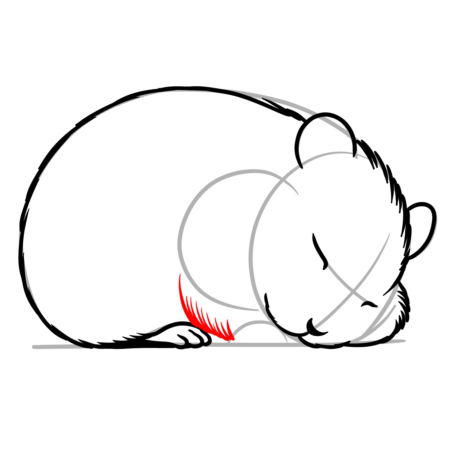 How to Draw a Sleeping Hamster - step 09