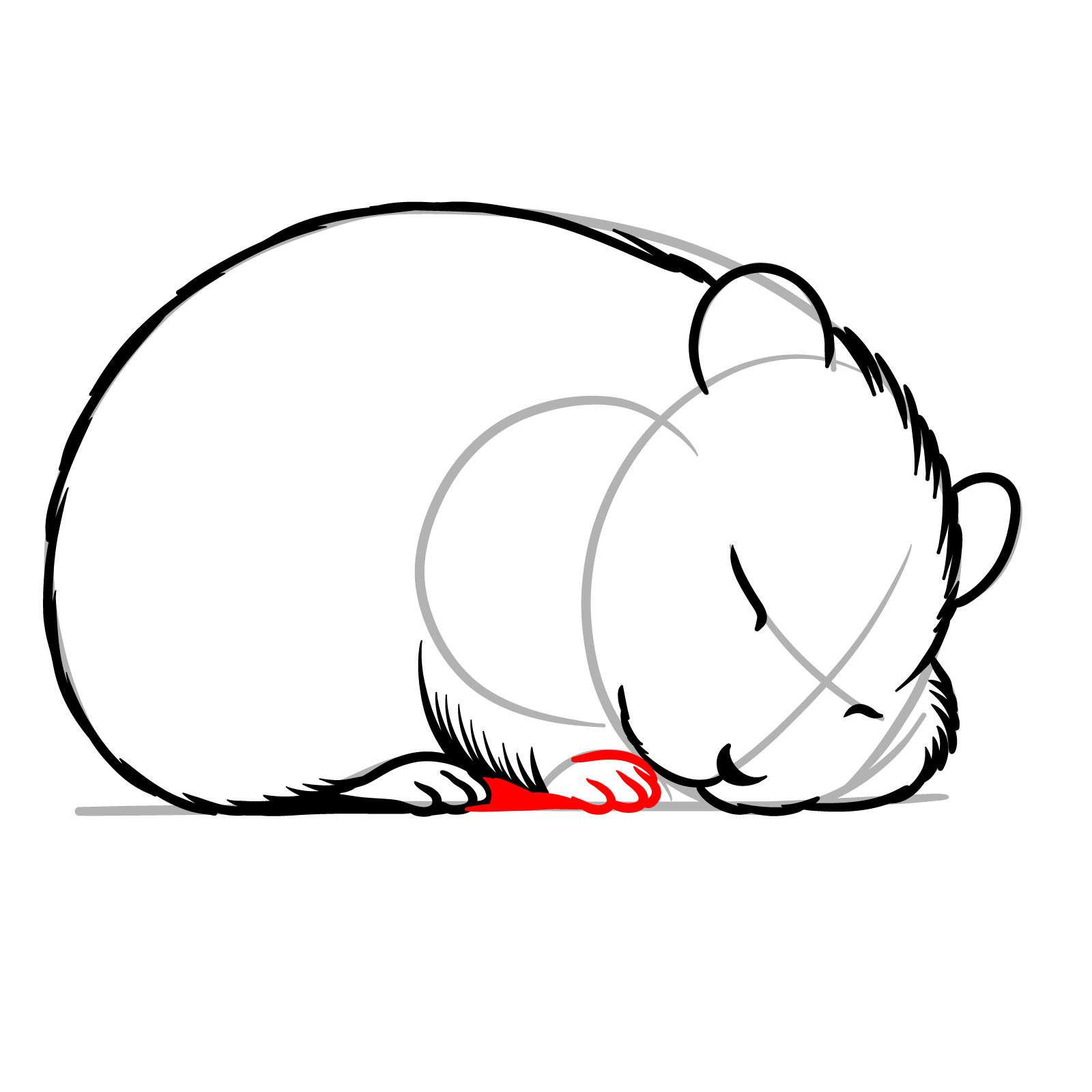 How to Draw a Sleeping Hamster - step 10