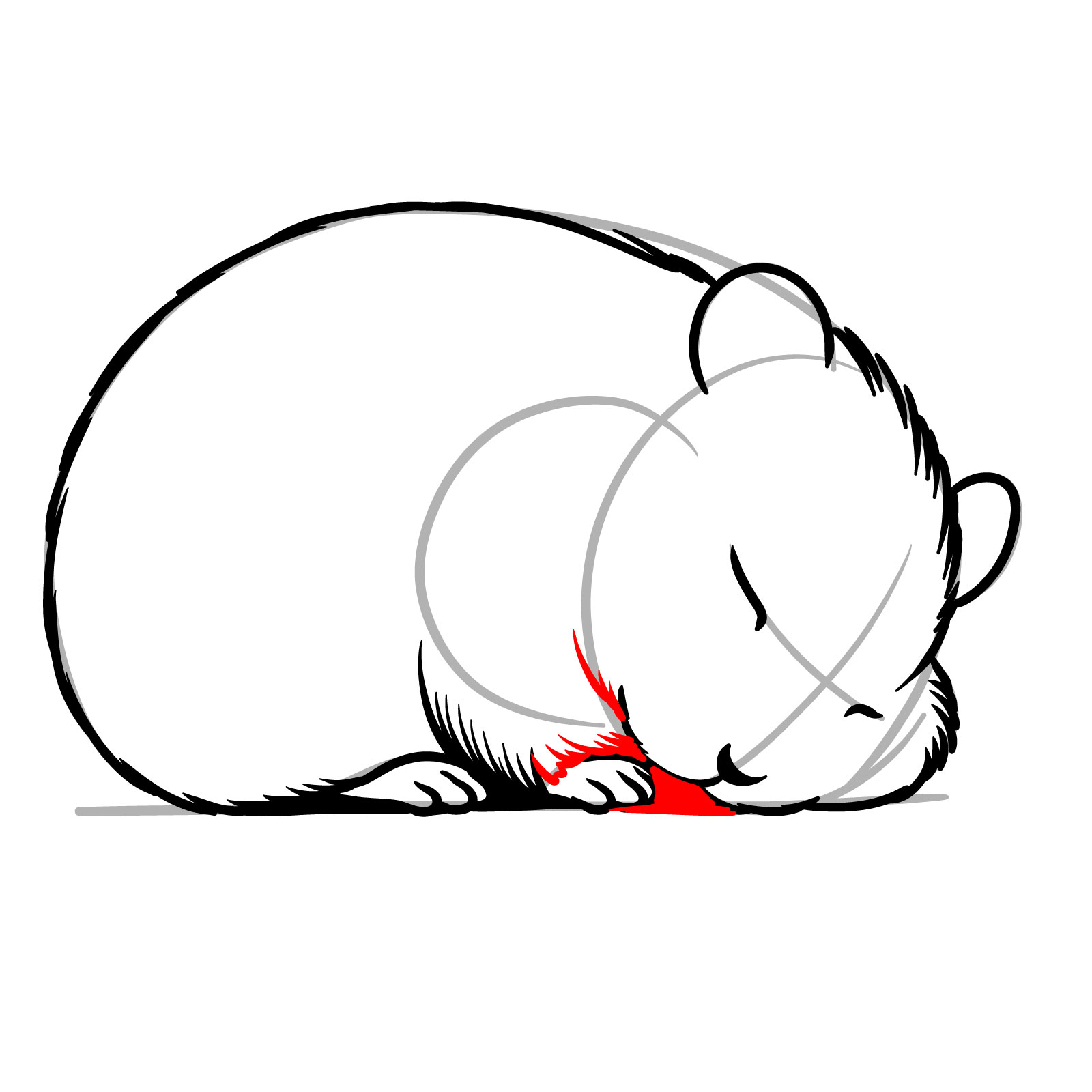 How to Draw a Sleeping Hamster - step 11