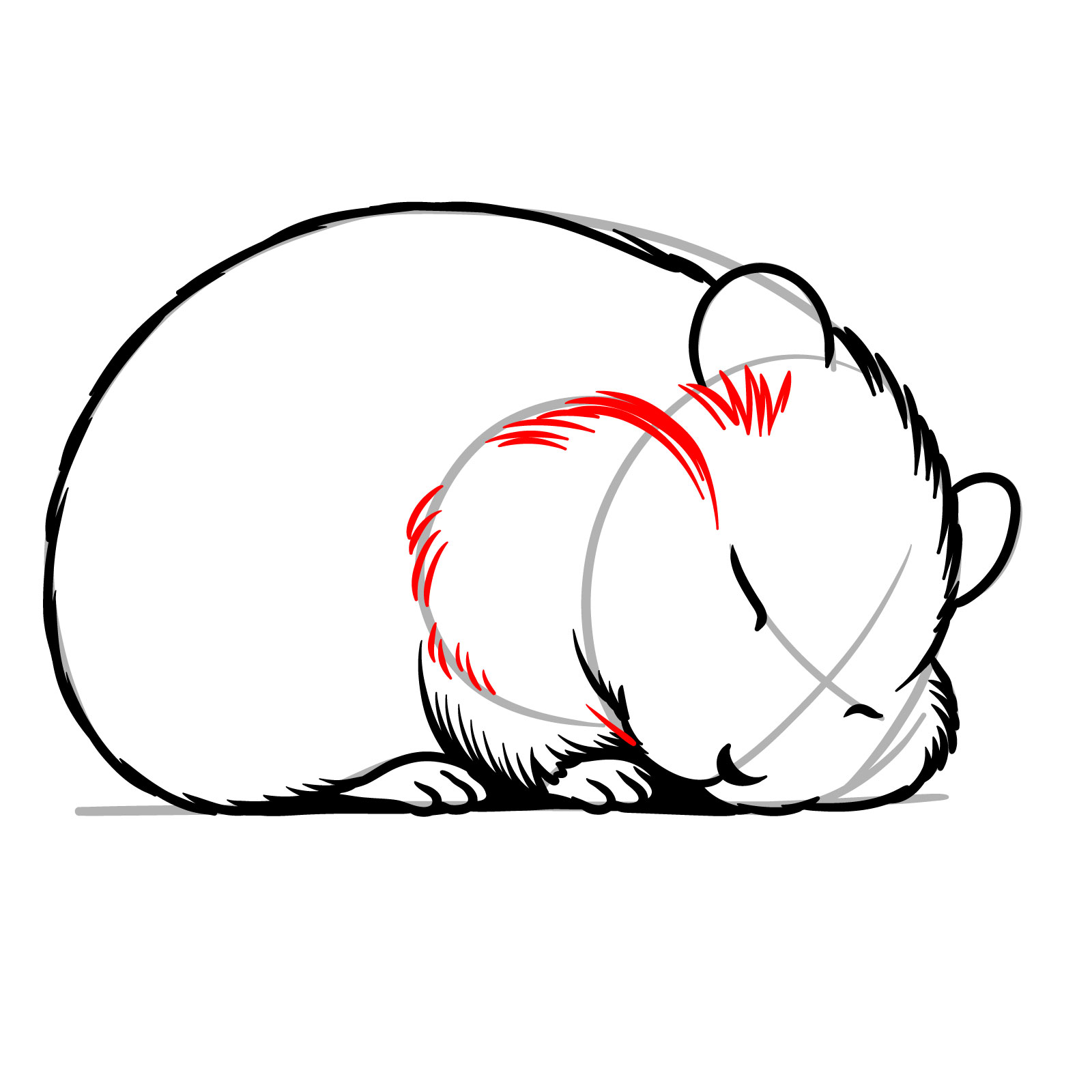 How to Draw a Sleeping Hamster - step 12