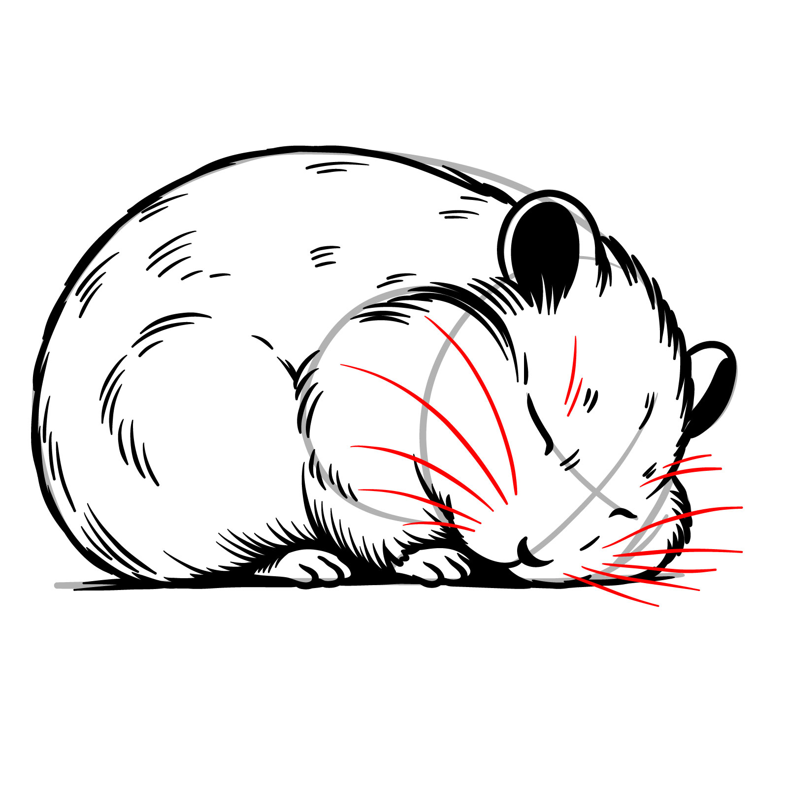 How to Draw a Sleeping Hamster - step 15