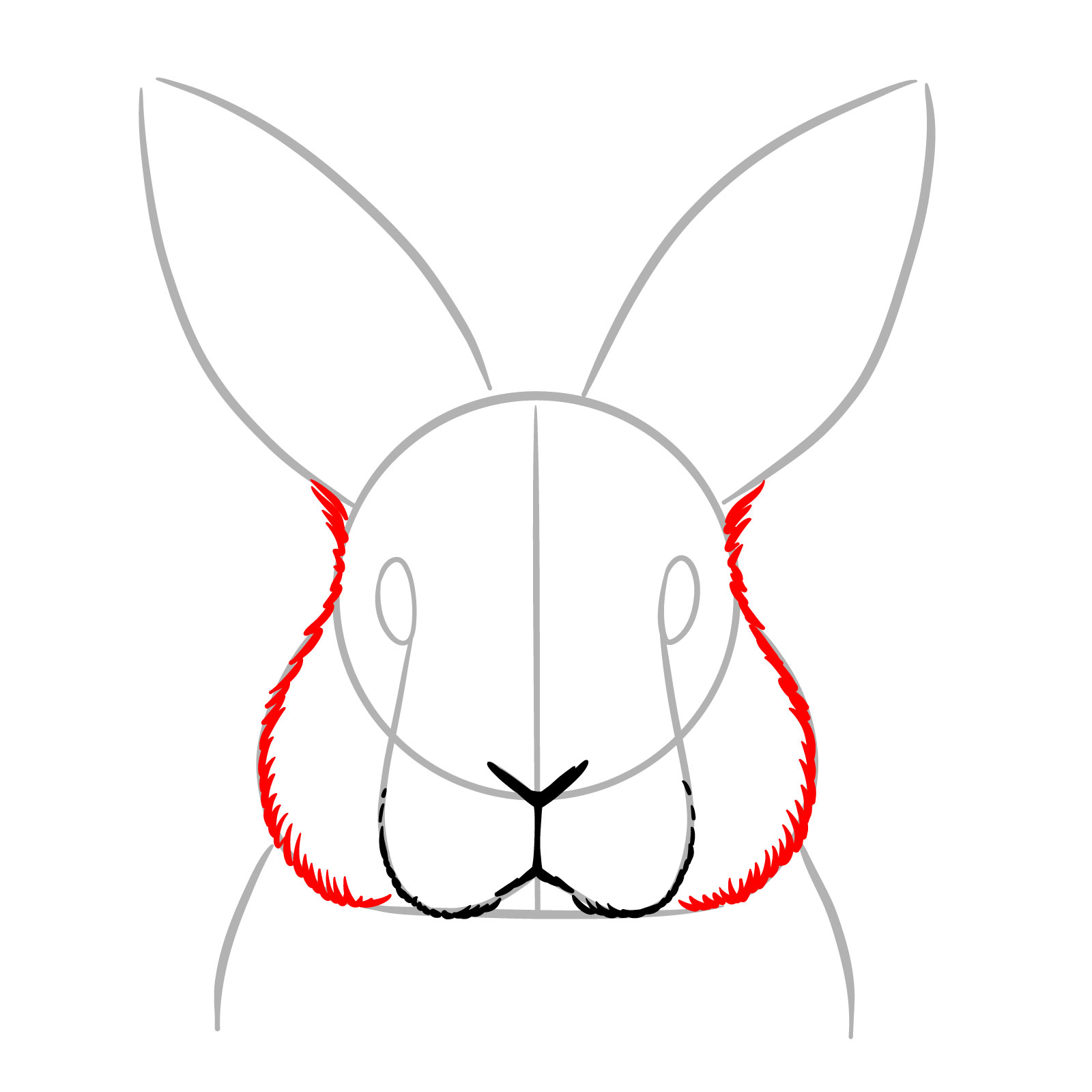 How to Draw a Bunny’s Head Front View - step 05