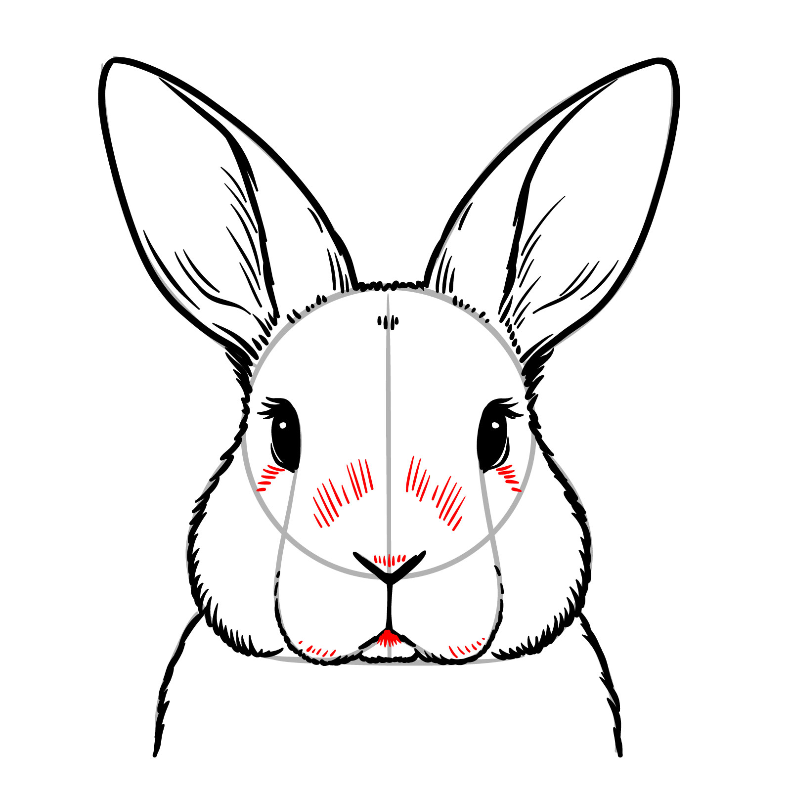 How to Draw a Bunny’s Head Front View - step 12