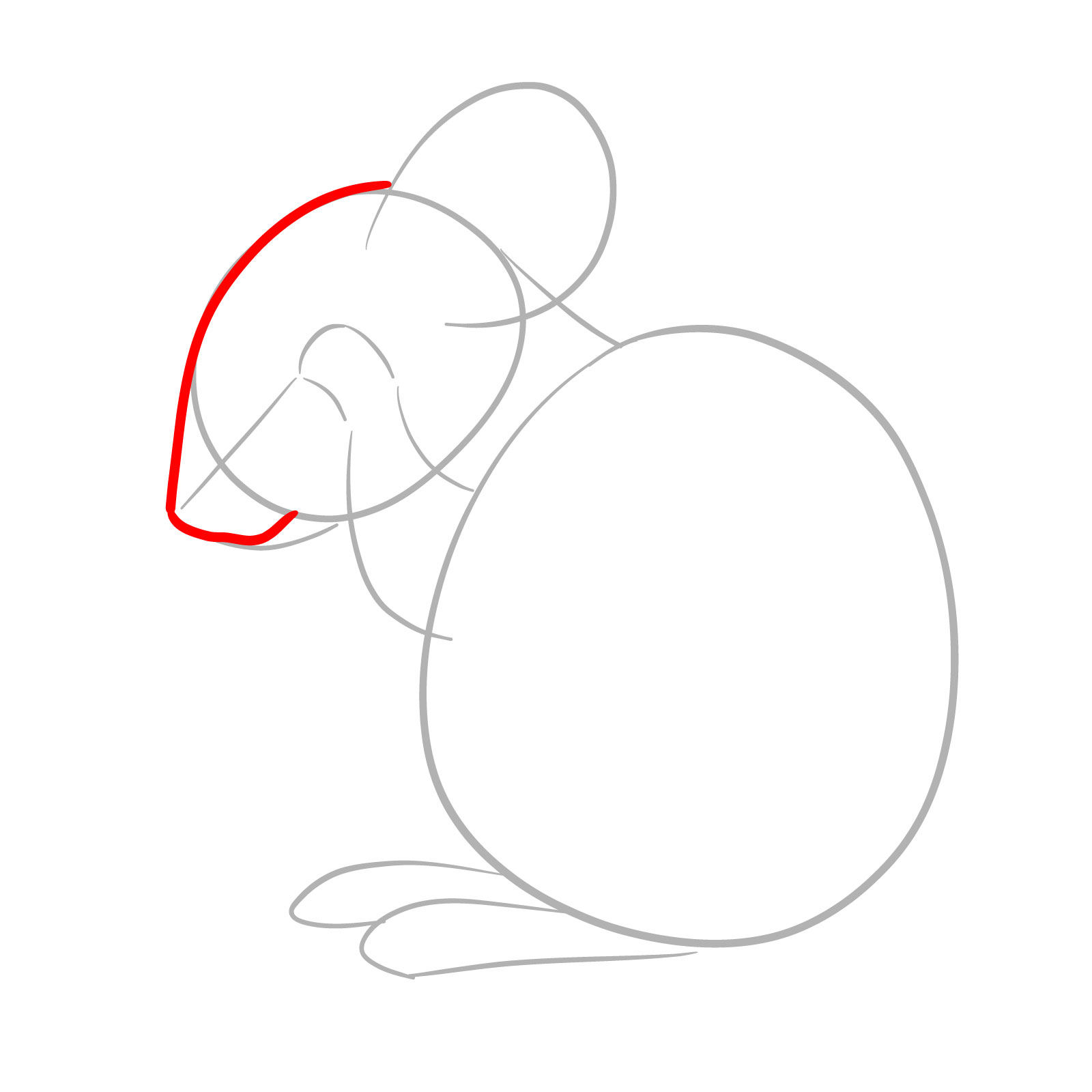 How to Draw a Mouse Grooming Itself - step 03
