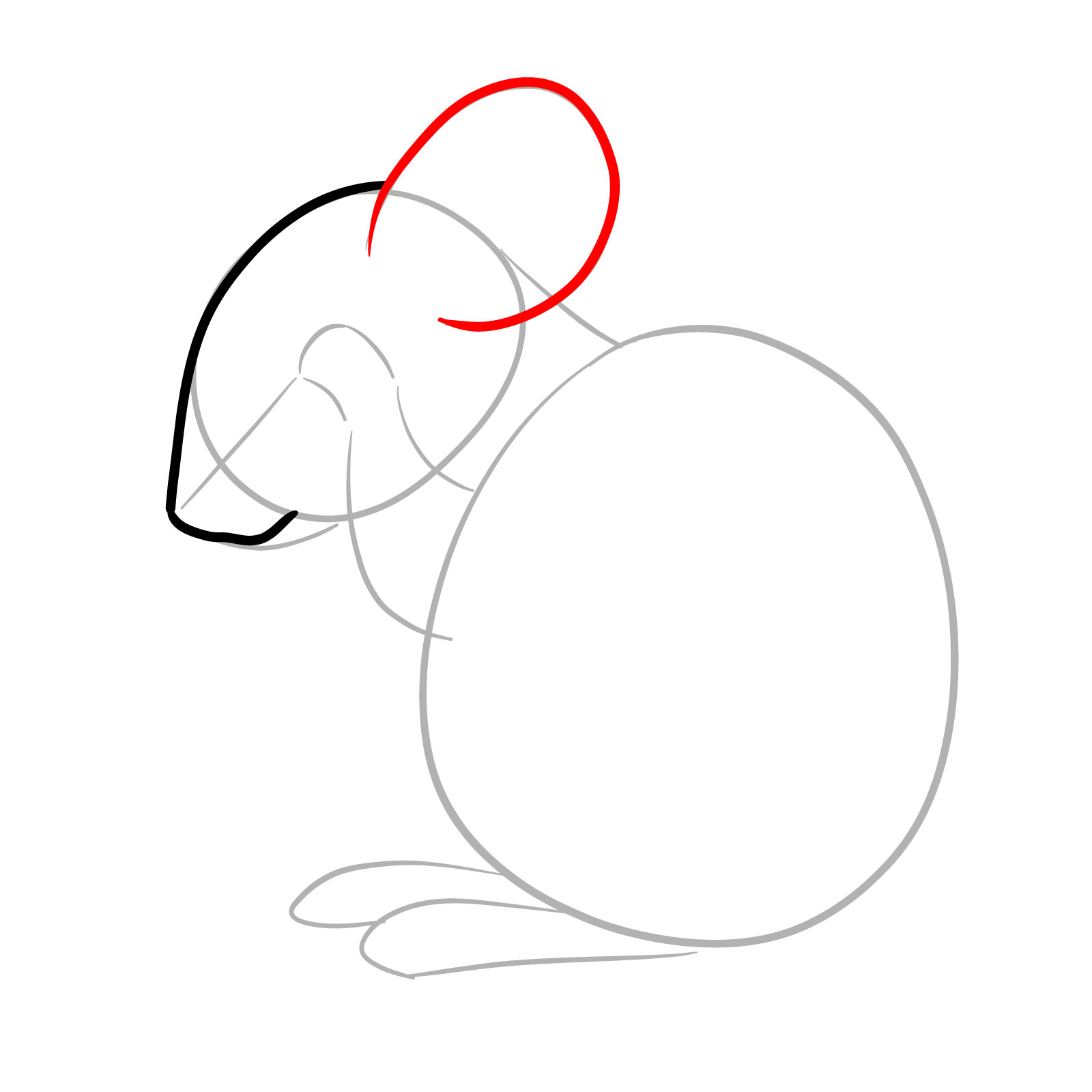 How to Draw a Mouse Grooming Itself - step 04