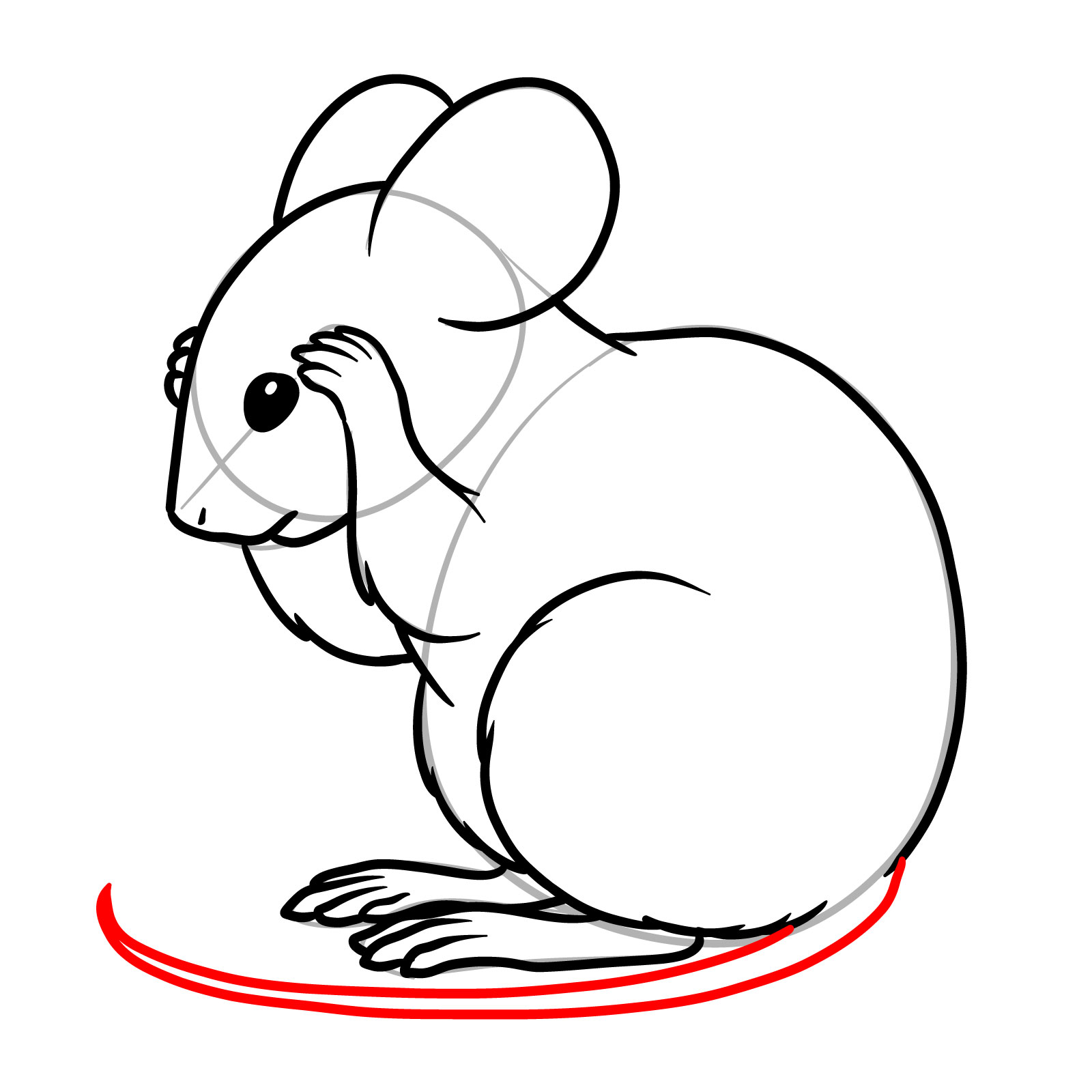 How to Draw a Mouse Grooming Itself - step 12
