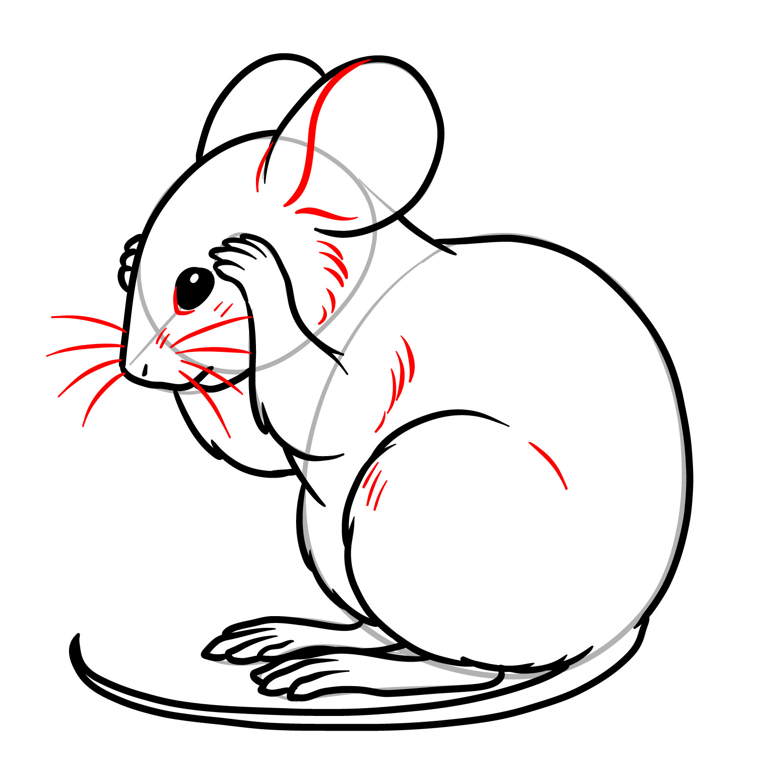 How to Draw a Mouse Grooming Itself - step 13