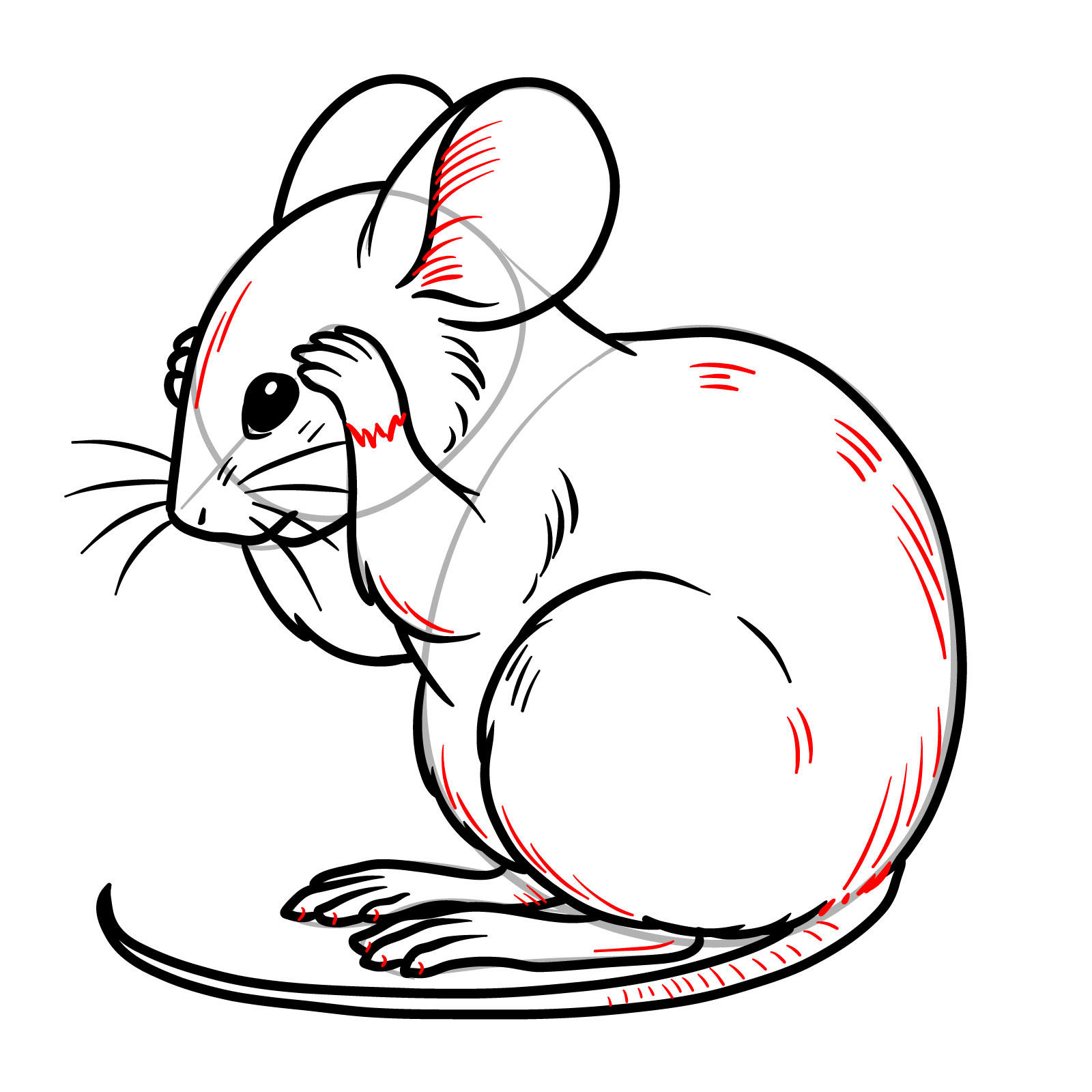 How to Draw a Mouse Grooming Itself - step 14