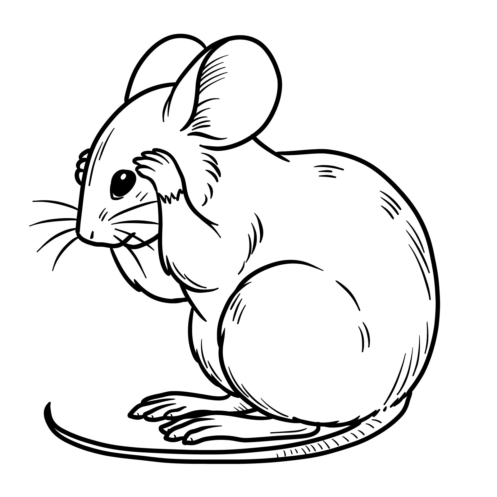 How to Draw a Mouse Grooming Itself - final step