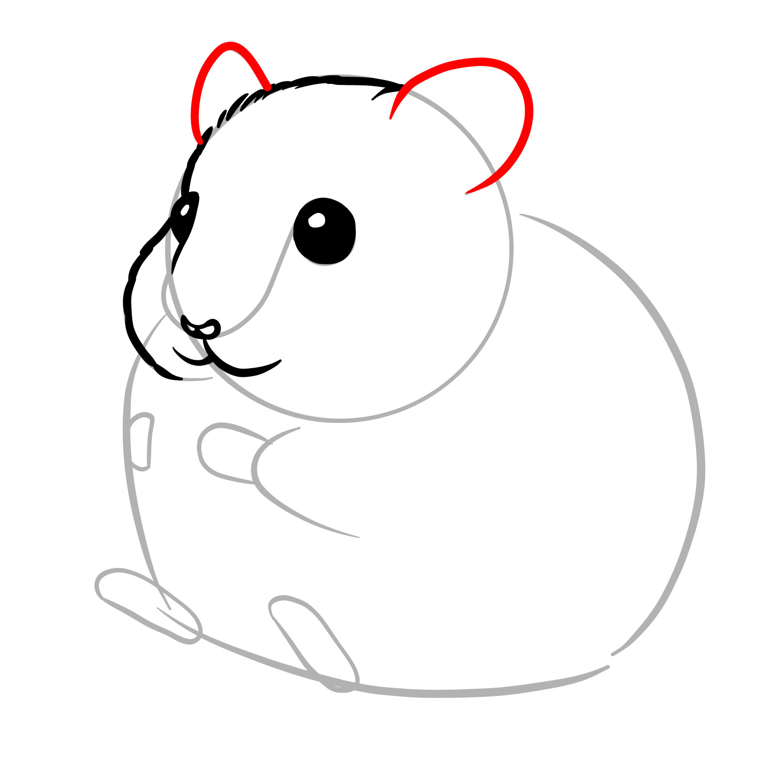 How to Draw a Hamster Eating a Seed - step 07