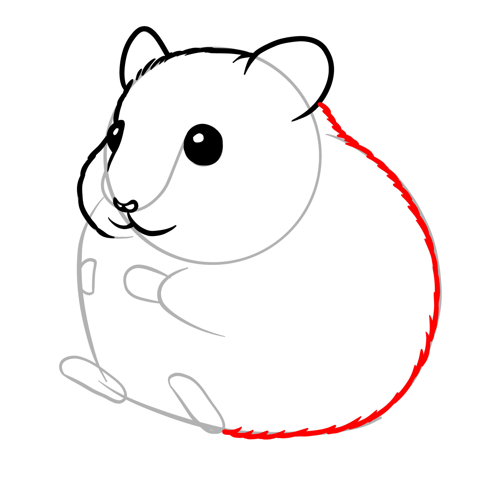 How to Draw a Hamster Eating a Seed - step 08