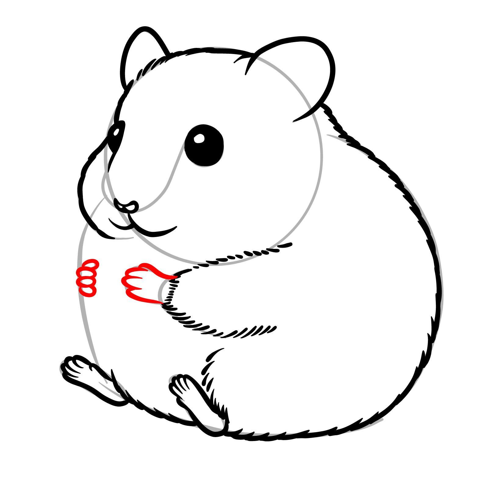 How to Draw a Hamster Eating a Seed - step 12