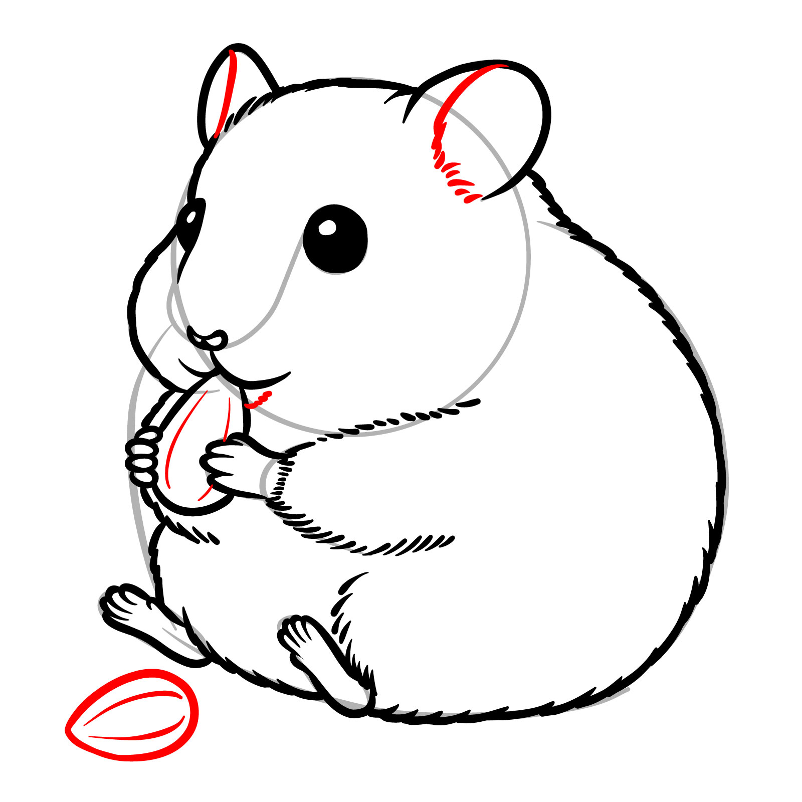 How to Draw a Hamster Eating a Seed - step 15