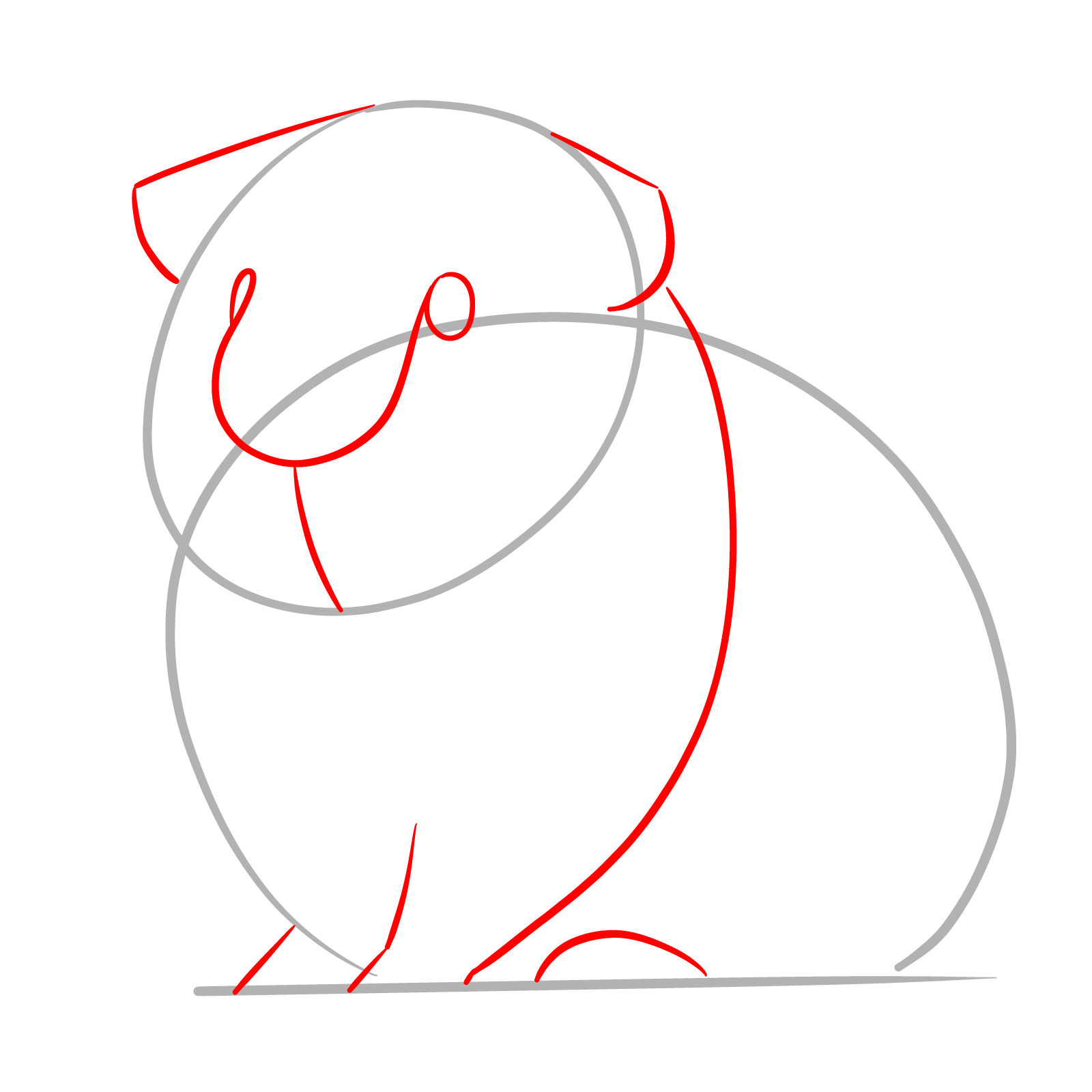 How to Draw a Guinea Pig - step 02