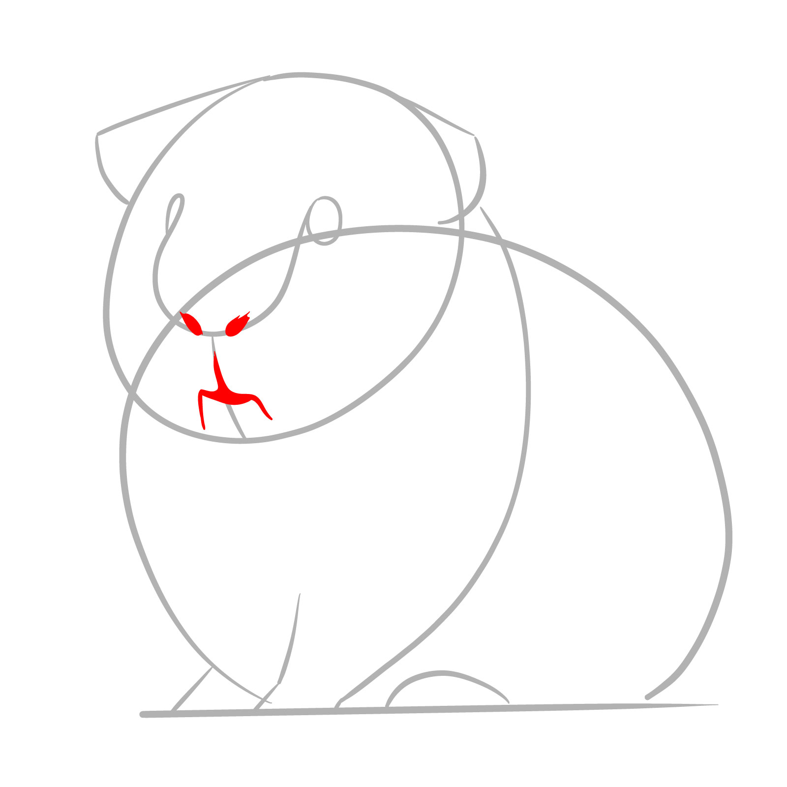 How to Draw a Guinea Pig - step 03