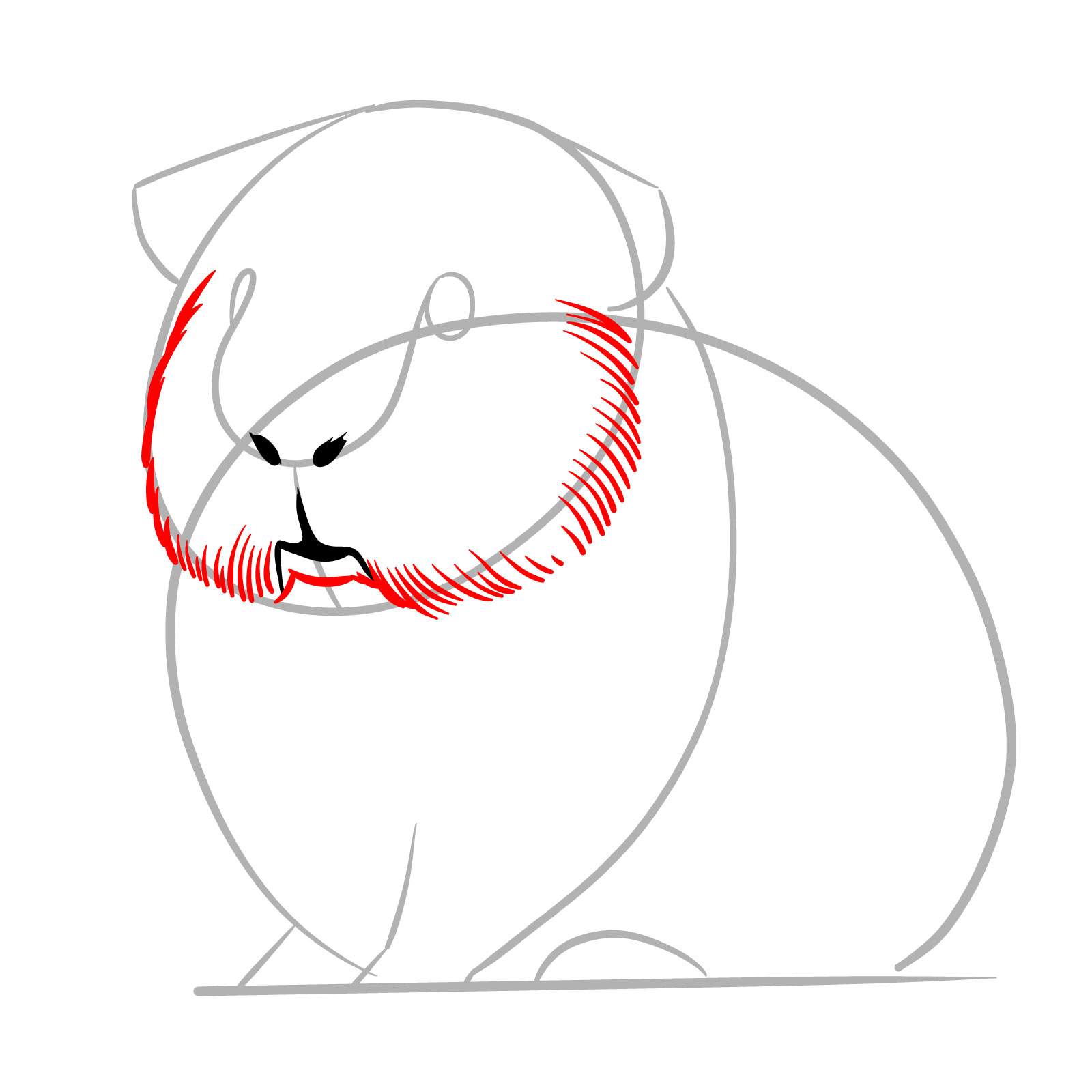 How to Draw a Guinea Pig - step 04