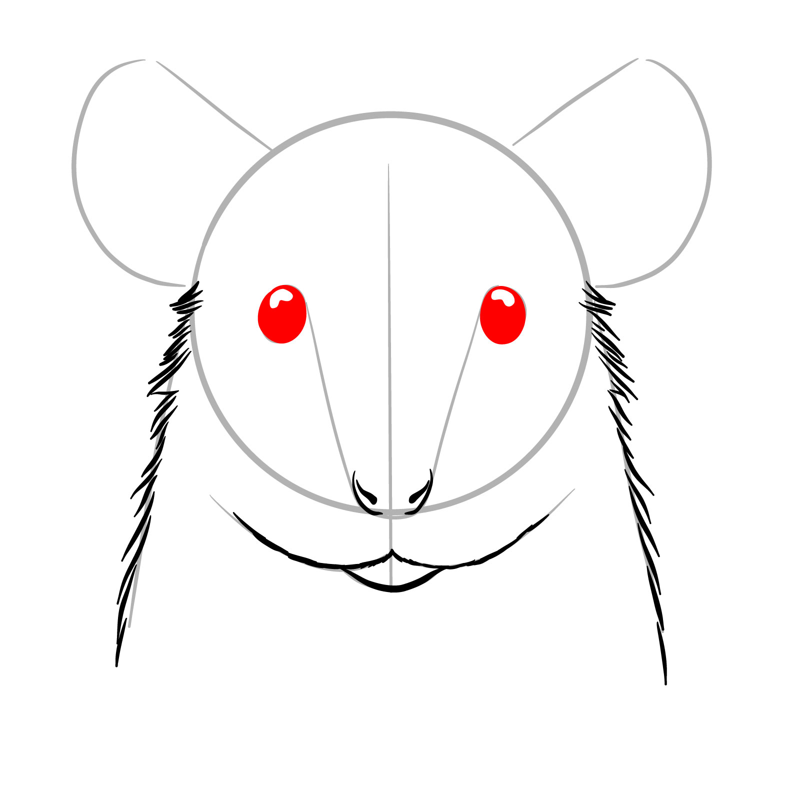 How to Draw a Rat’s Head Front View - step 06
