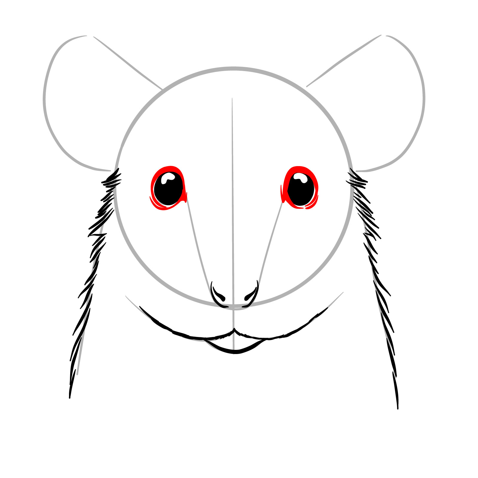 How to Draw a Rat’s Head Front View - step 07