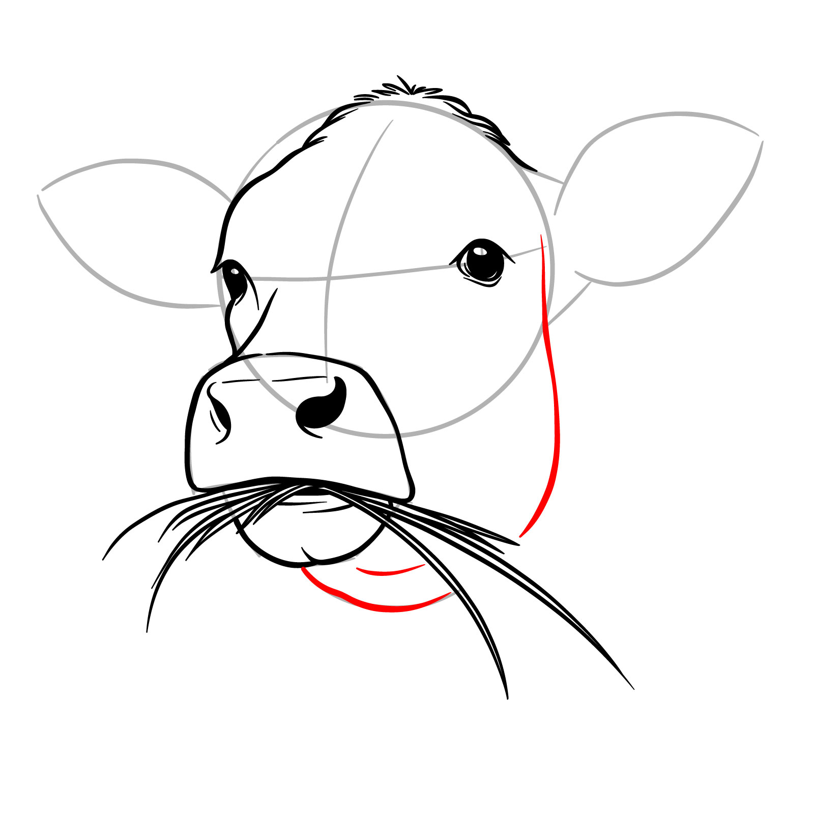 How to Draw a Cow Face Eating Grass - step 11