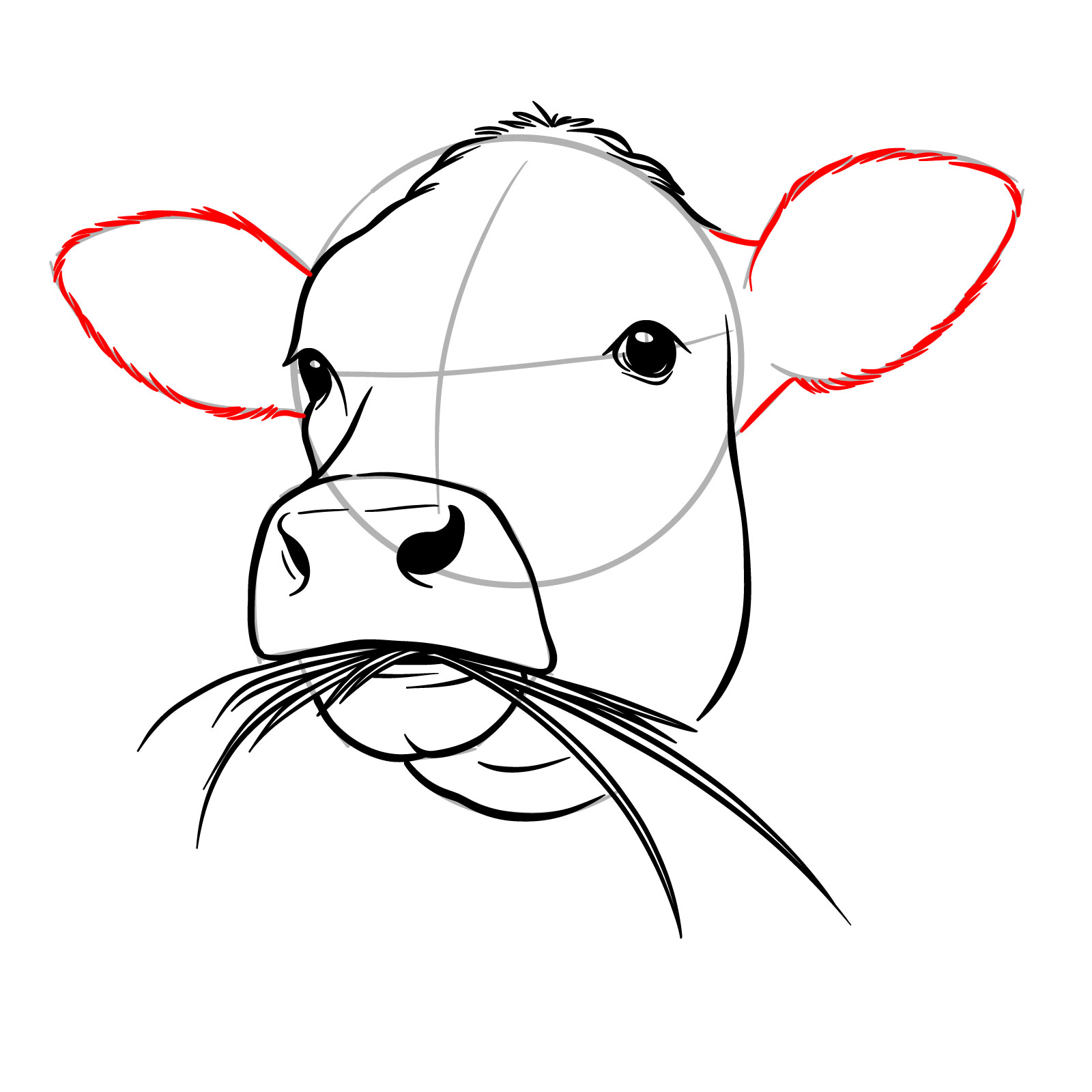 How to Draw a Cow Face Eating Grass - step 12