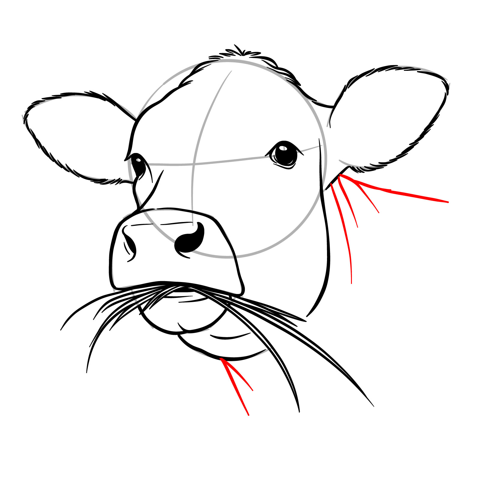 How to Draw a Cow Face Eating Grass - step 13