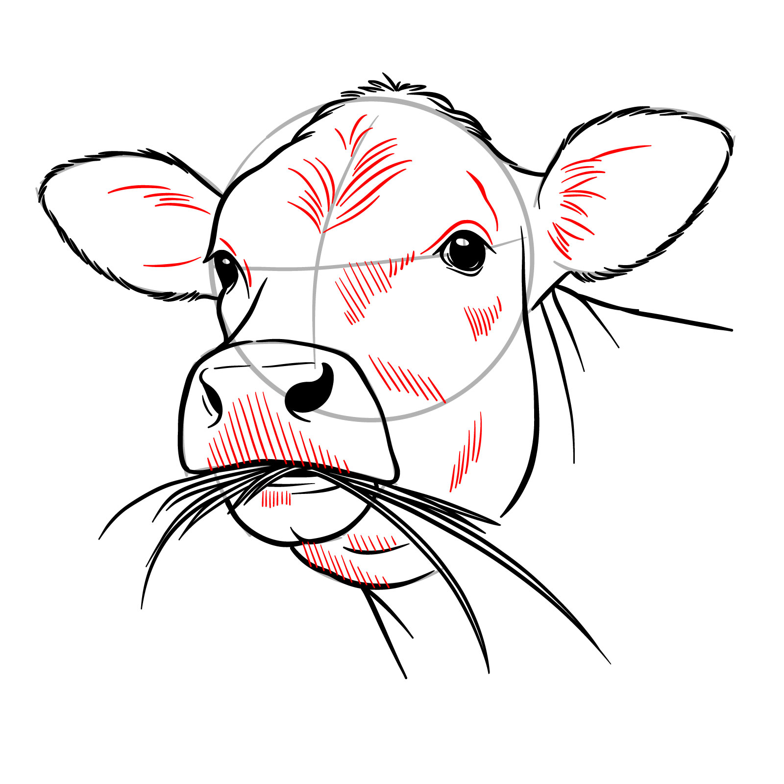 How to Draw a Cow Face Eating Grass - step 14