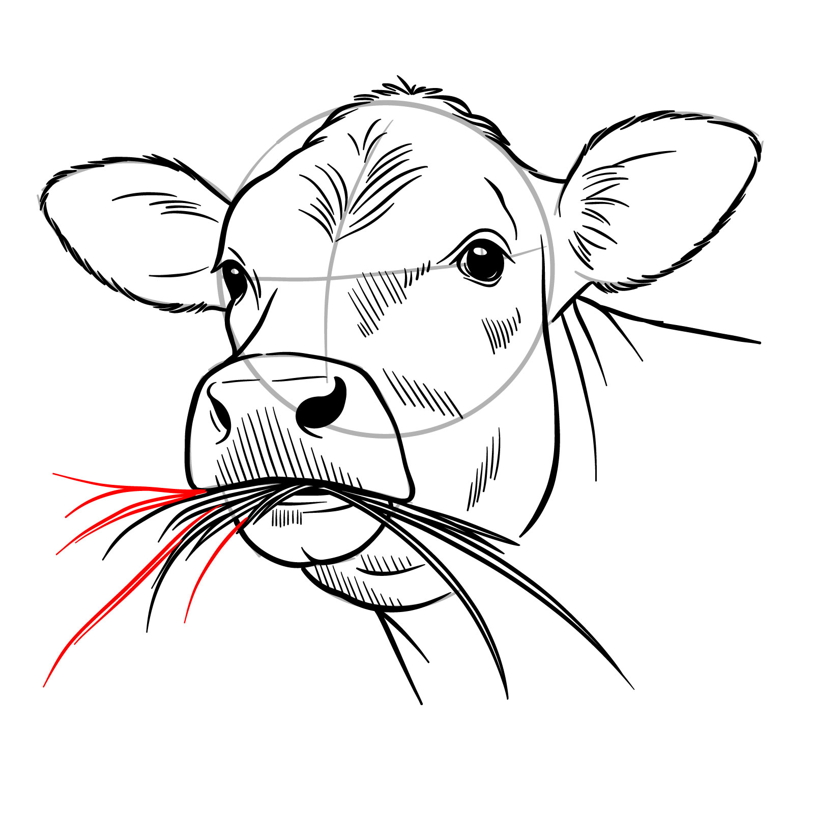 How to Draw a Cow Face Eating Grass - step 15