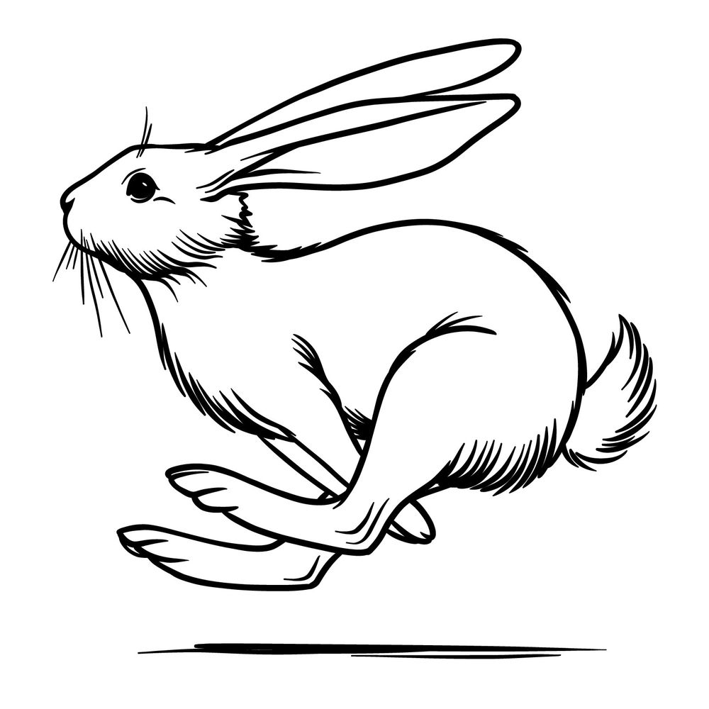 How to Draw a Running Rabbit in Mid Hop Step by Step