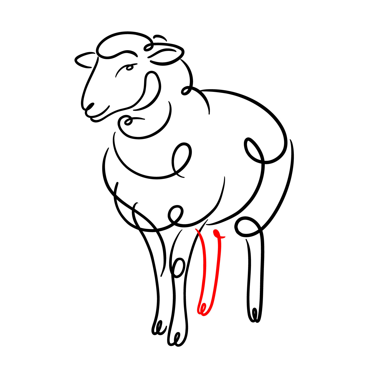 How to Draw a Simple Line Art Sheep - step 13