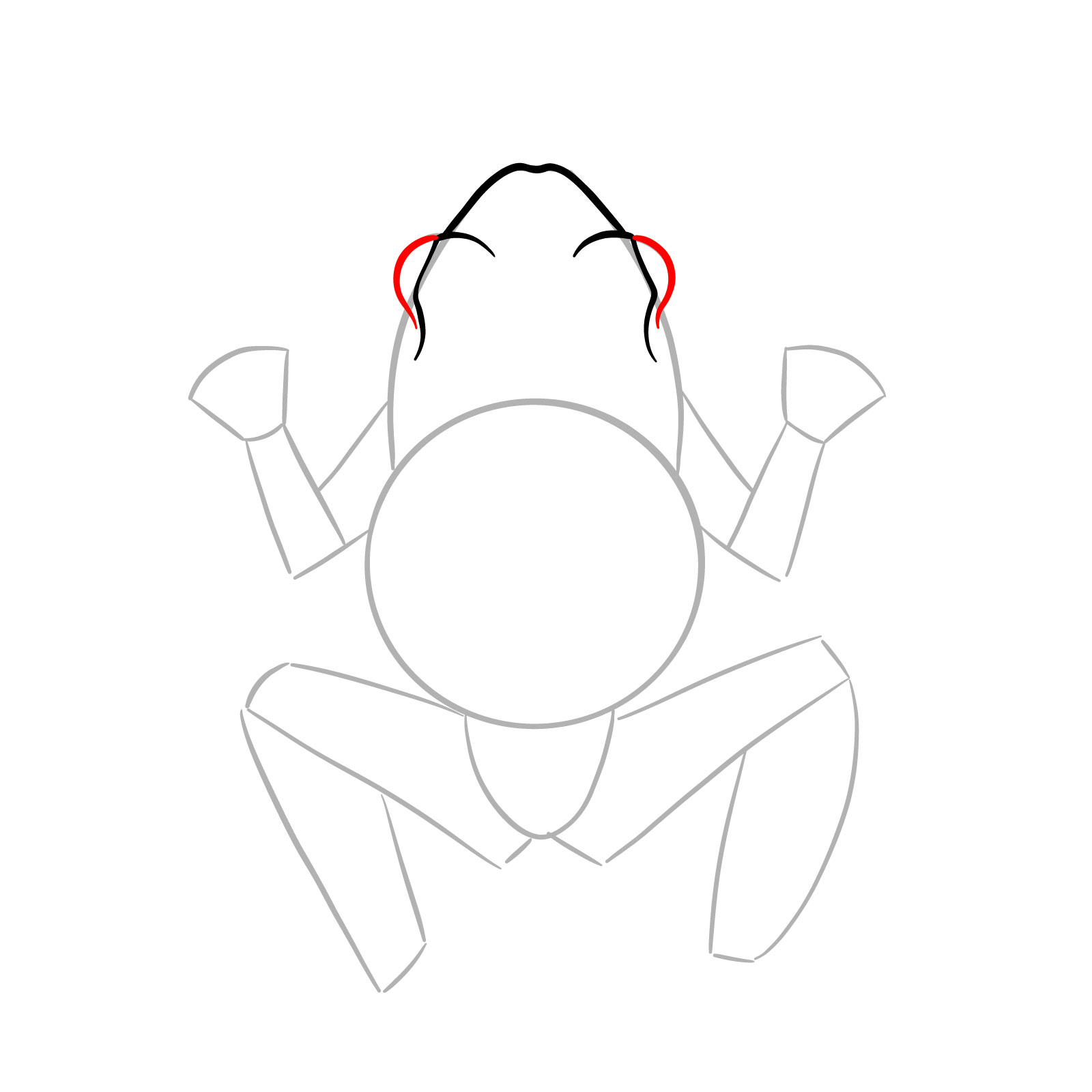How to Draw a Frog from the Top View - step 05