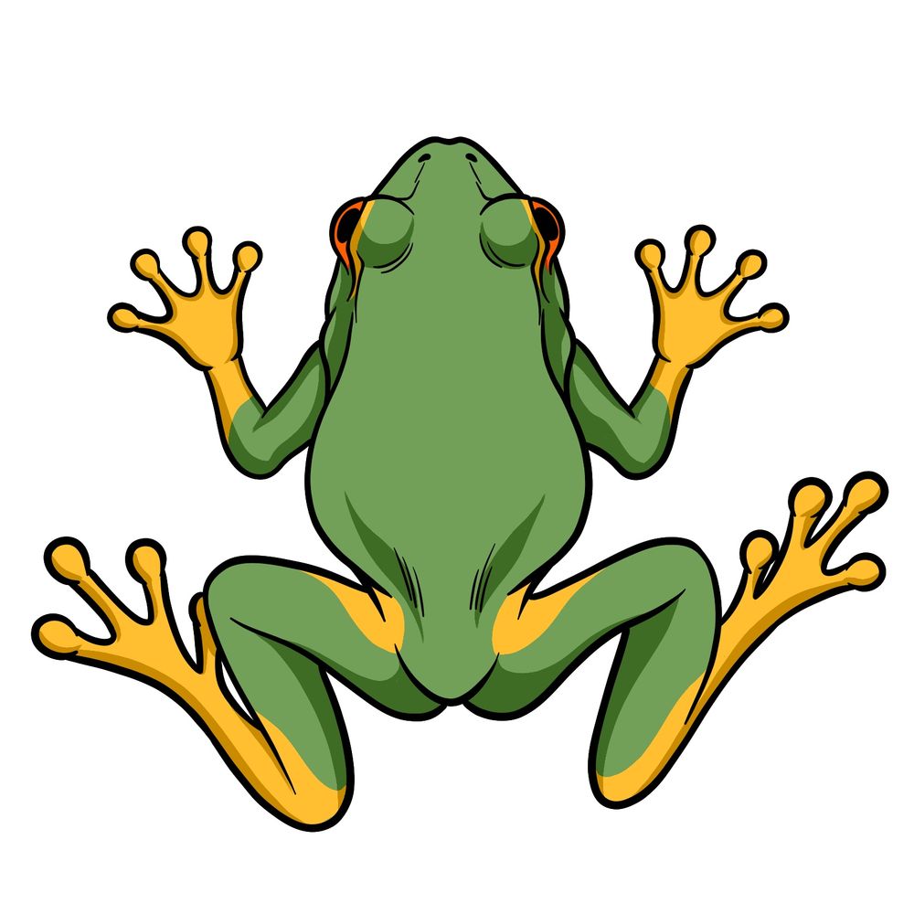 Learn How to Draw a Frog Seen from Above in 20 Easy Steps